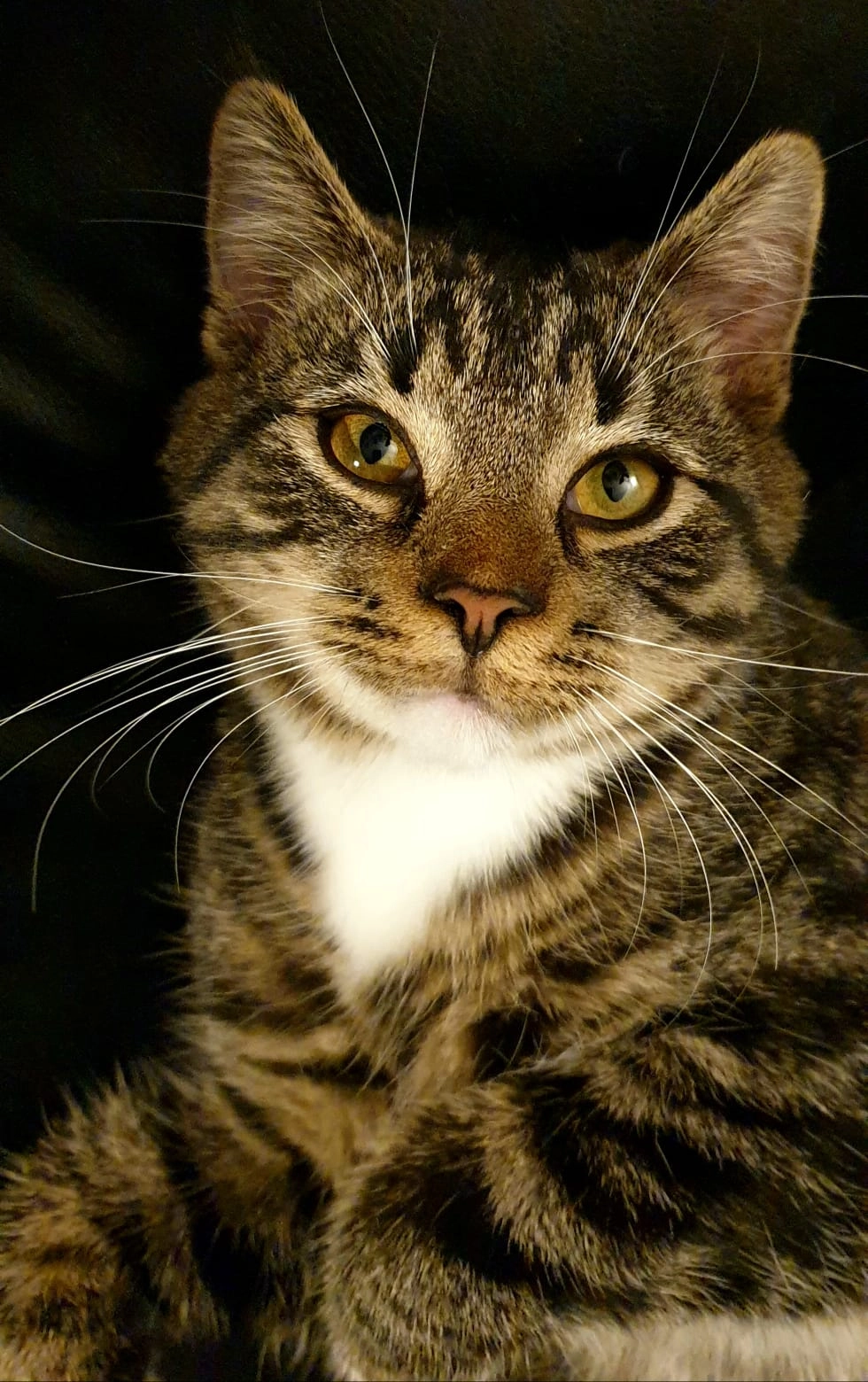 Oliver - Ernst-Schurbohm-Straße 4, Heiligenhafen