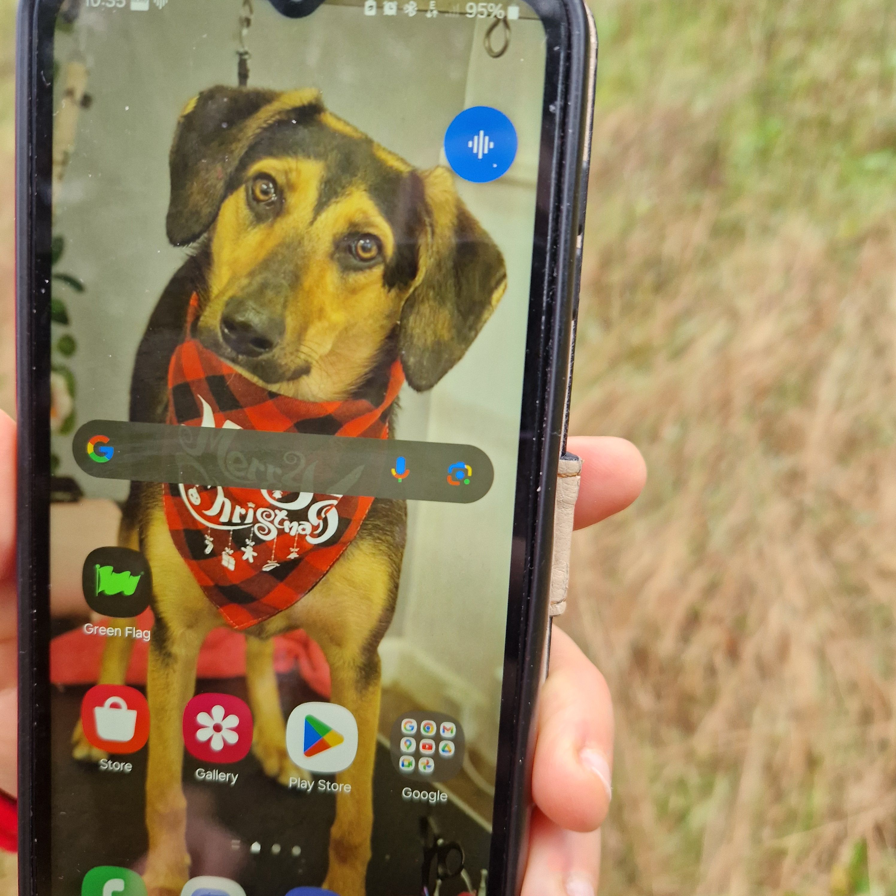 Bonnie - Blackamoor Road, Mexborough