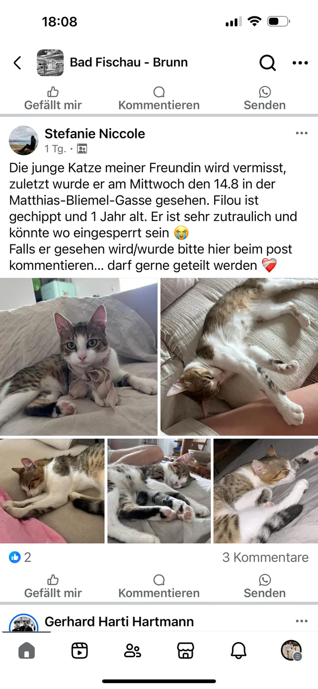 Filou - 2721, Bad Fischau-Brunn
