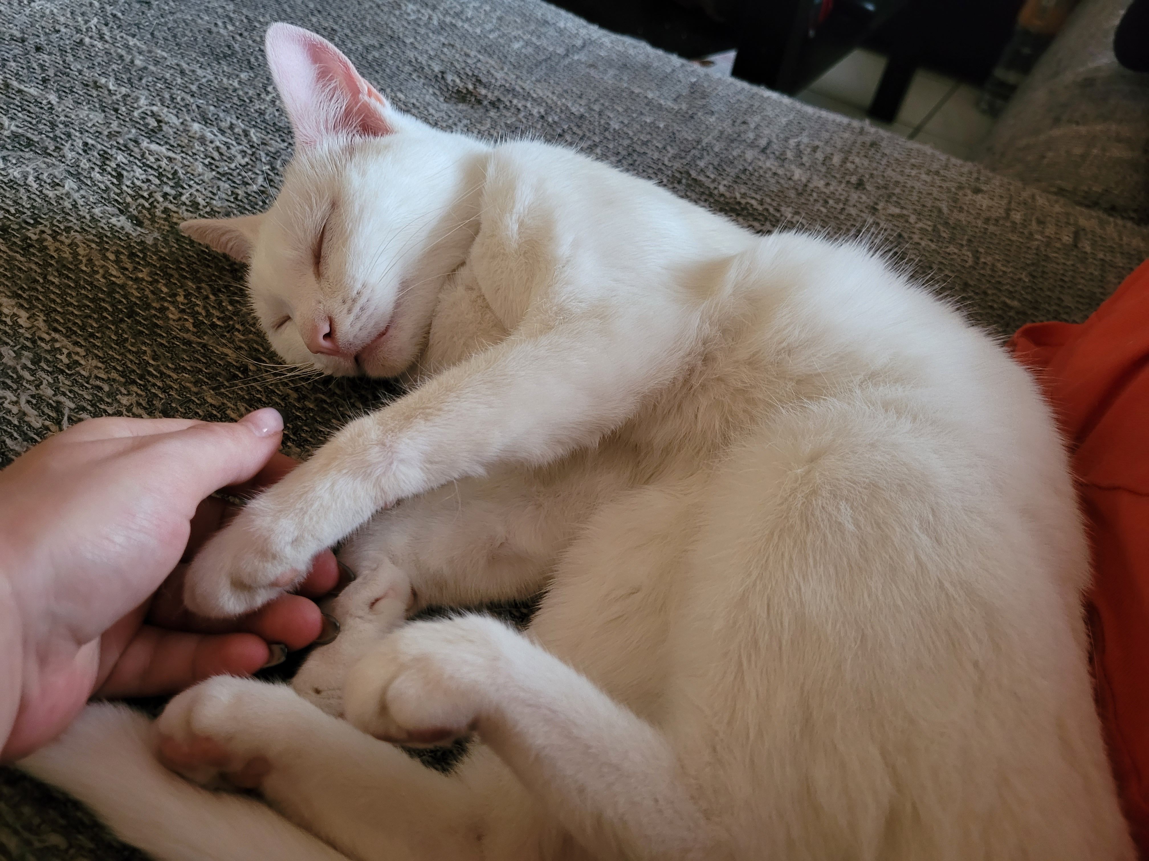Snow - Auf dem Berg, Unterjeckenbach
