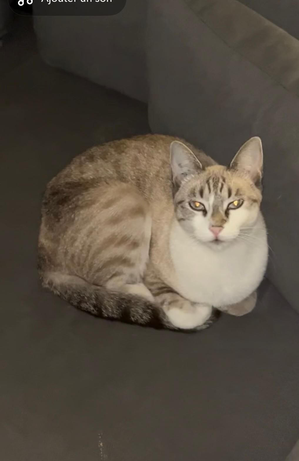 vays - 15 Impasse de la Liberté, Trets