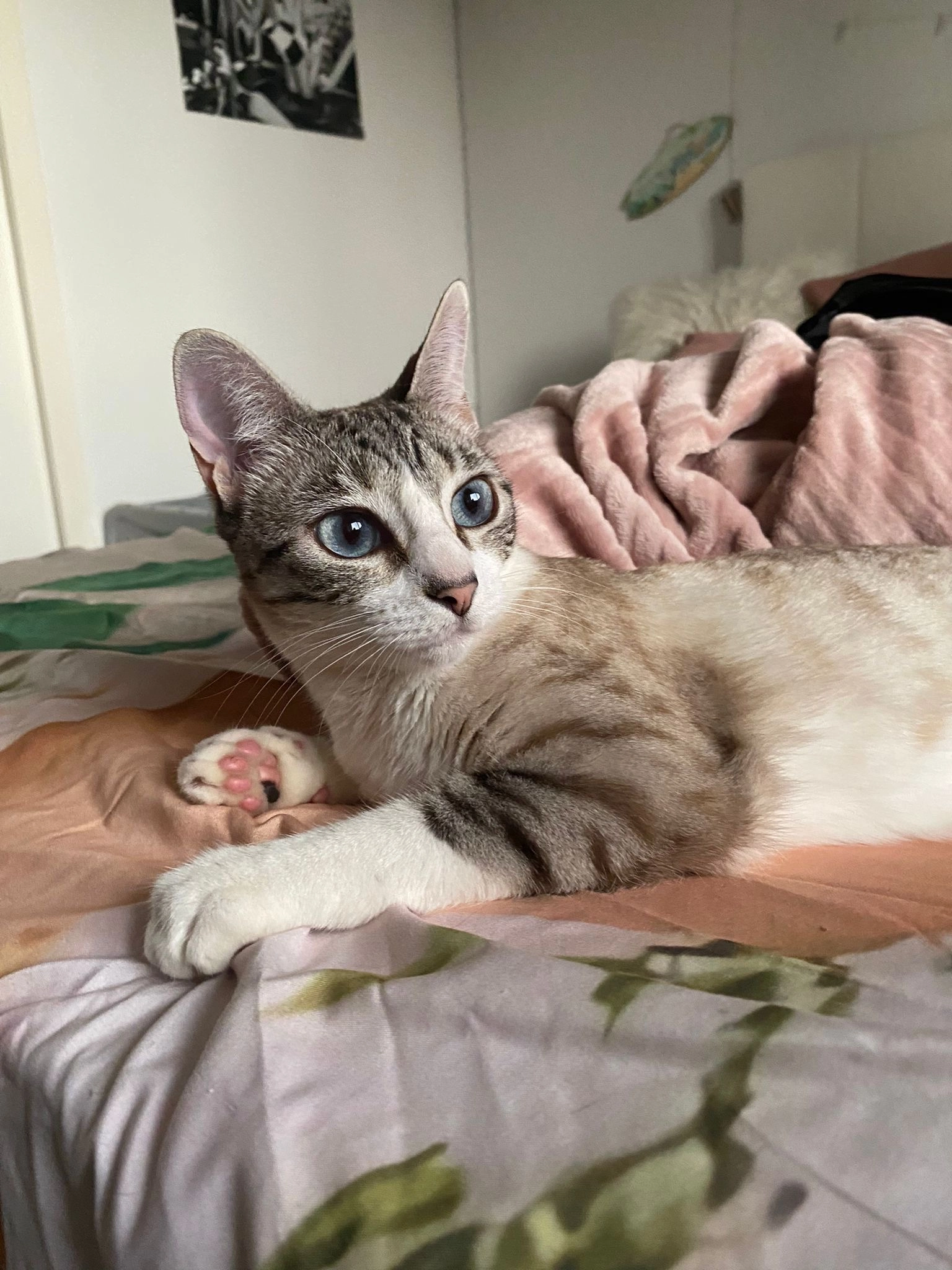 Chanel - Route de Portet, Villeneuve-Tolosane