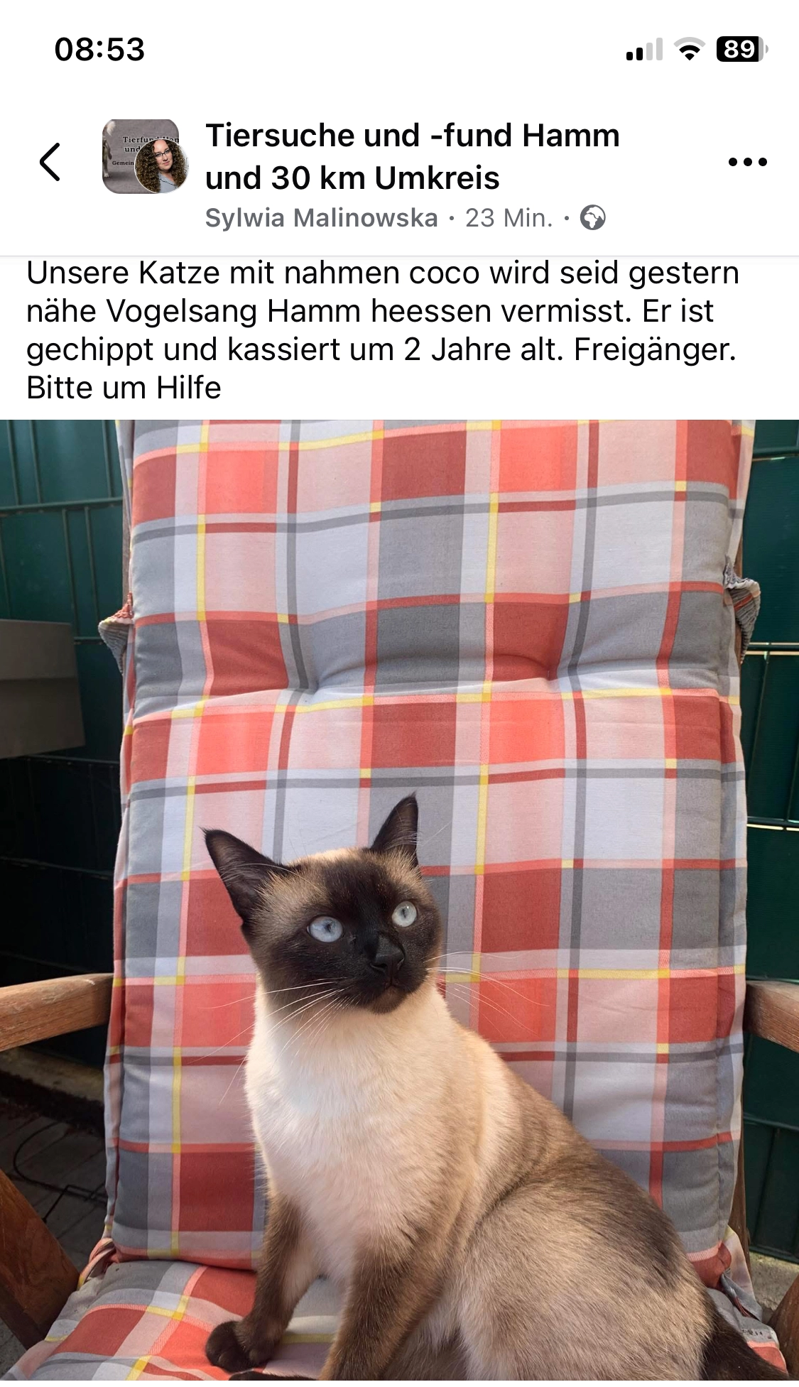 Coco  - Vogelsang, Hamm