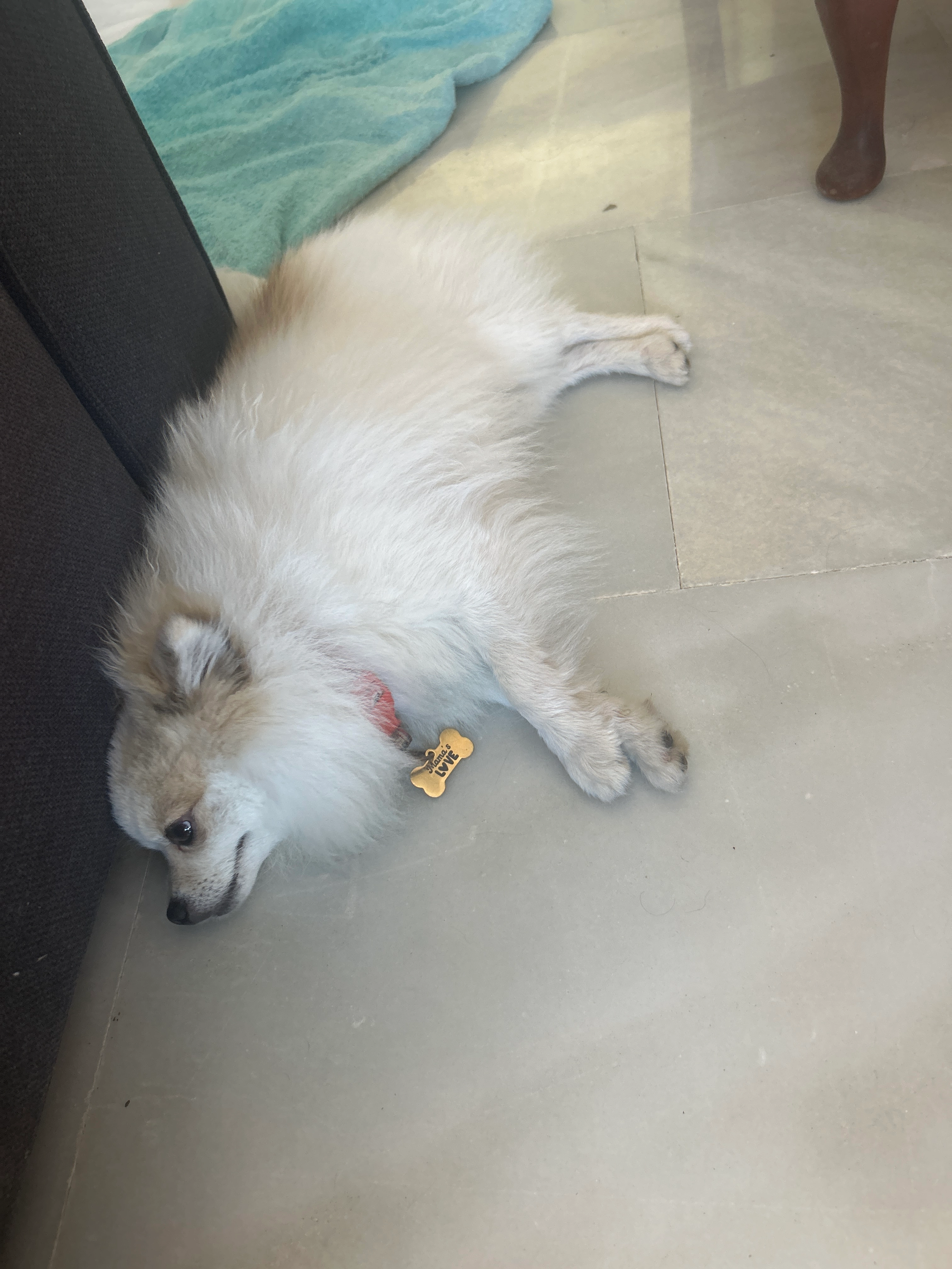 Unknown  - Calle Los Limoneros, Marbella