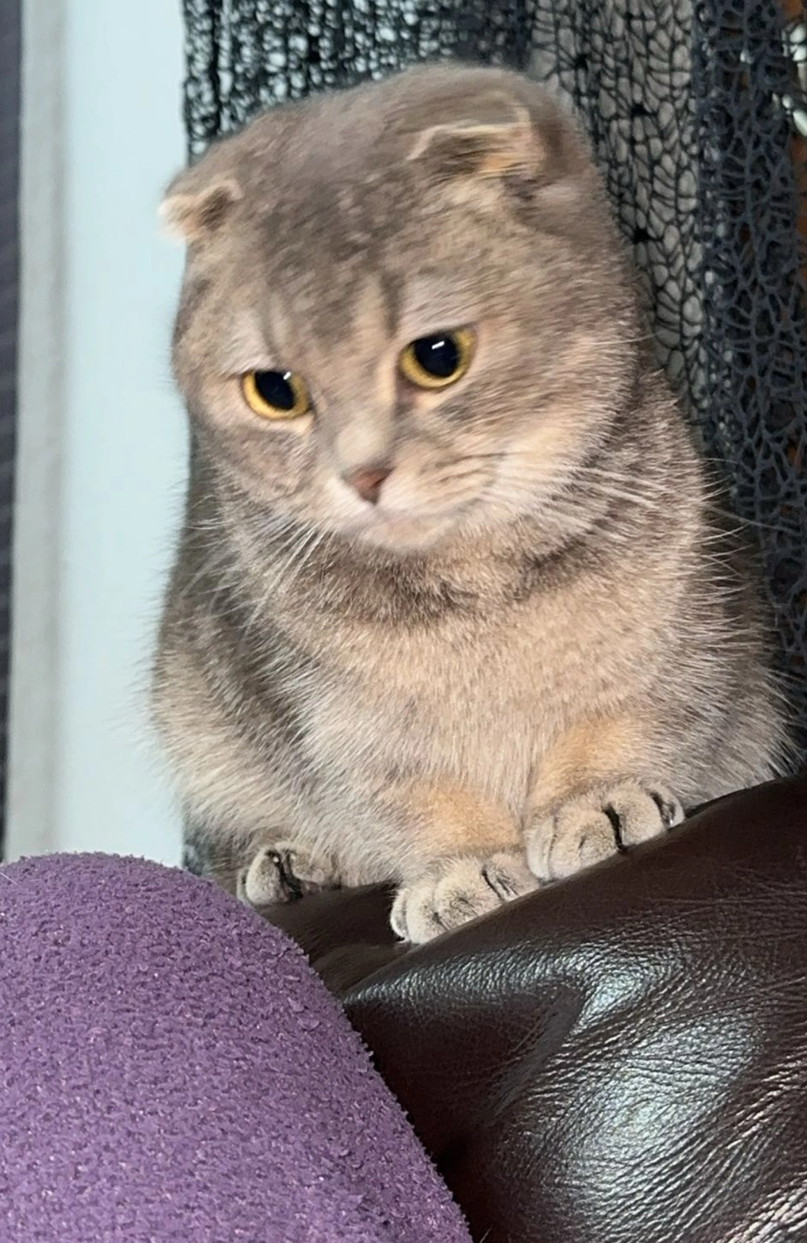 Susu - Karl-Lehr-Straße, Duisburg