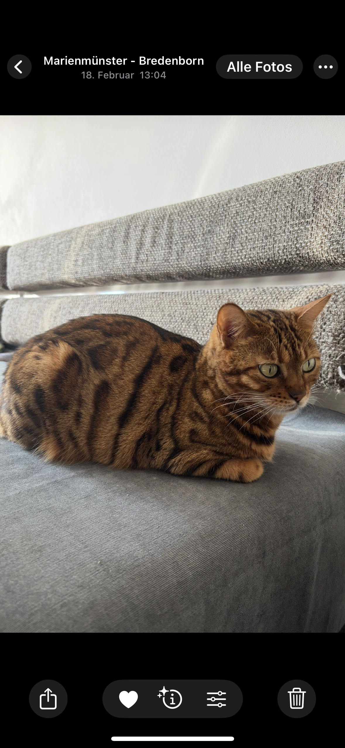 Sweety - Liboristraße, Marienmünster