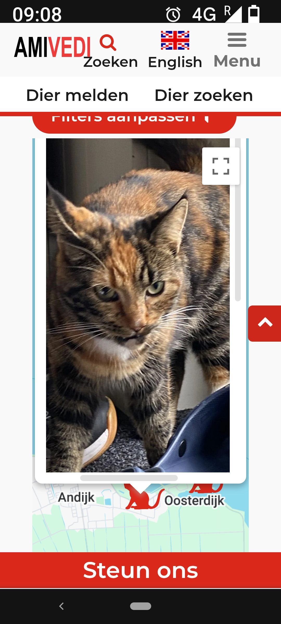 Polly - Knokkel, Andijk