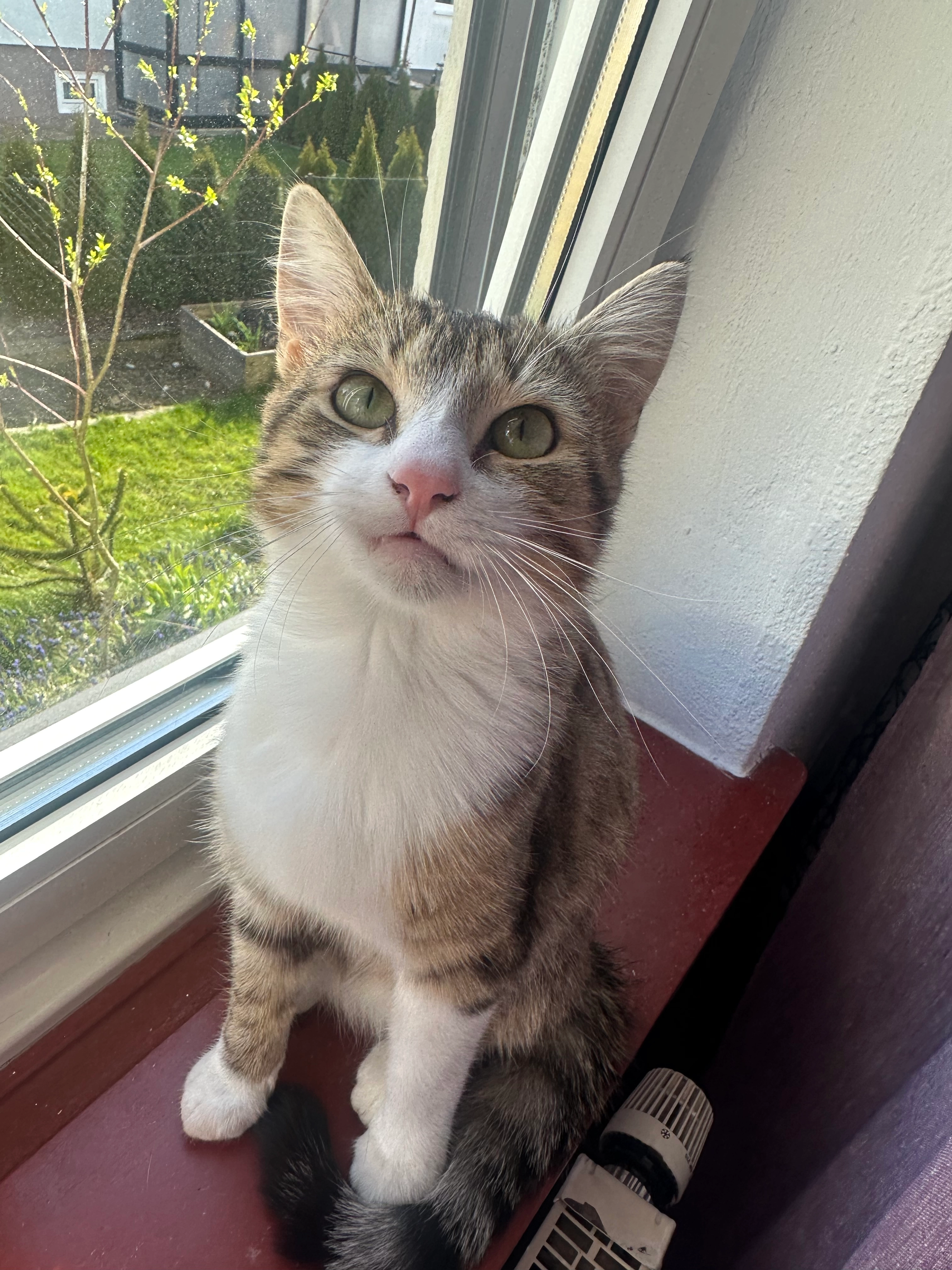 Milo  - Moosstraße, Ergolding