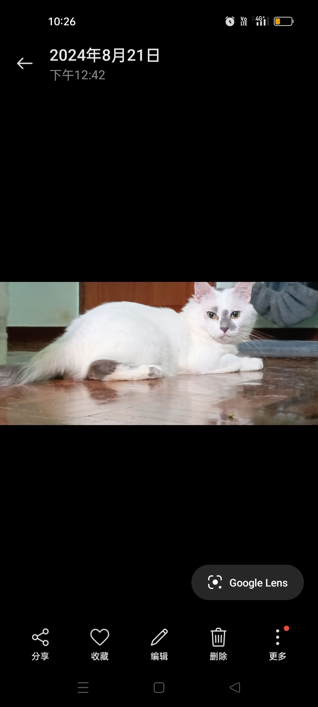 Chedi/車底 - Jalan Kasawari 9, Kampung Pertanian