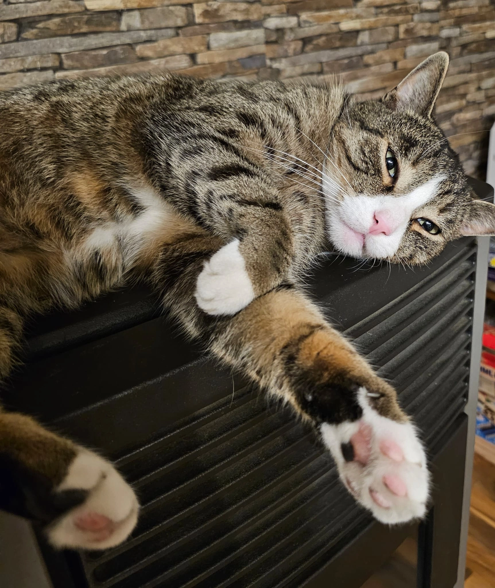 Tiger - Dammer Straße, Steinfeld