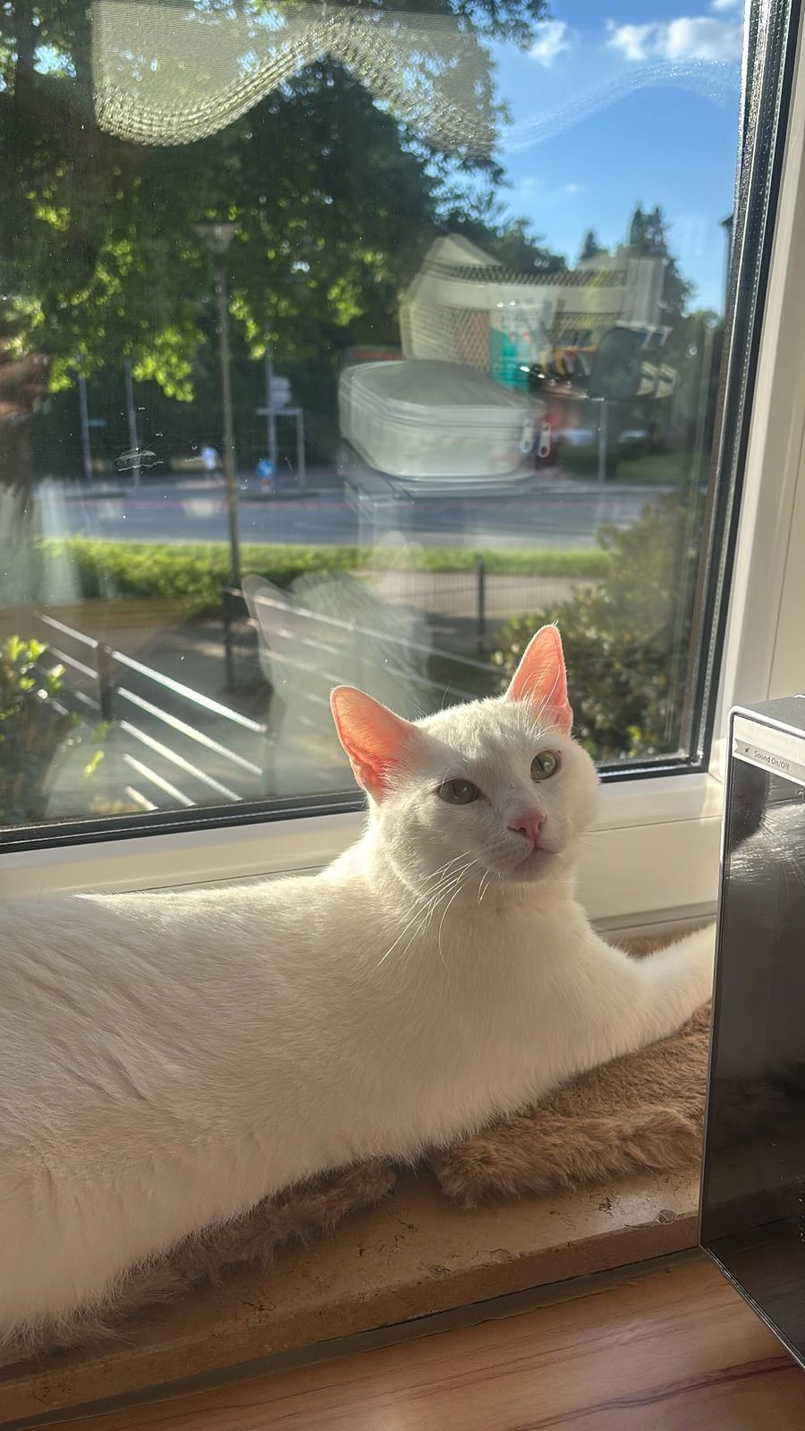 Olaf - Friedrich-Von-Schiller-Straße, Bayreuth