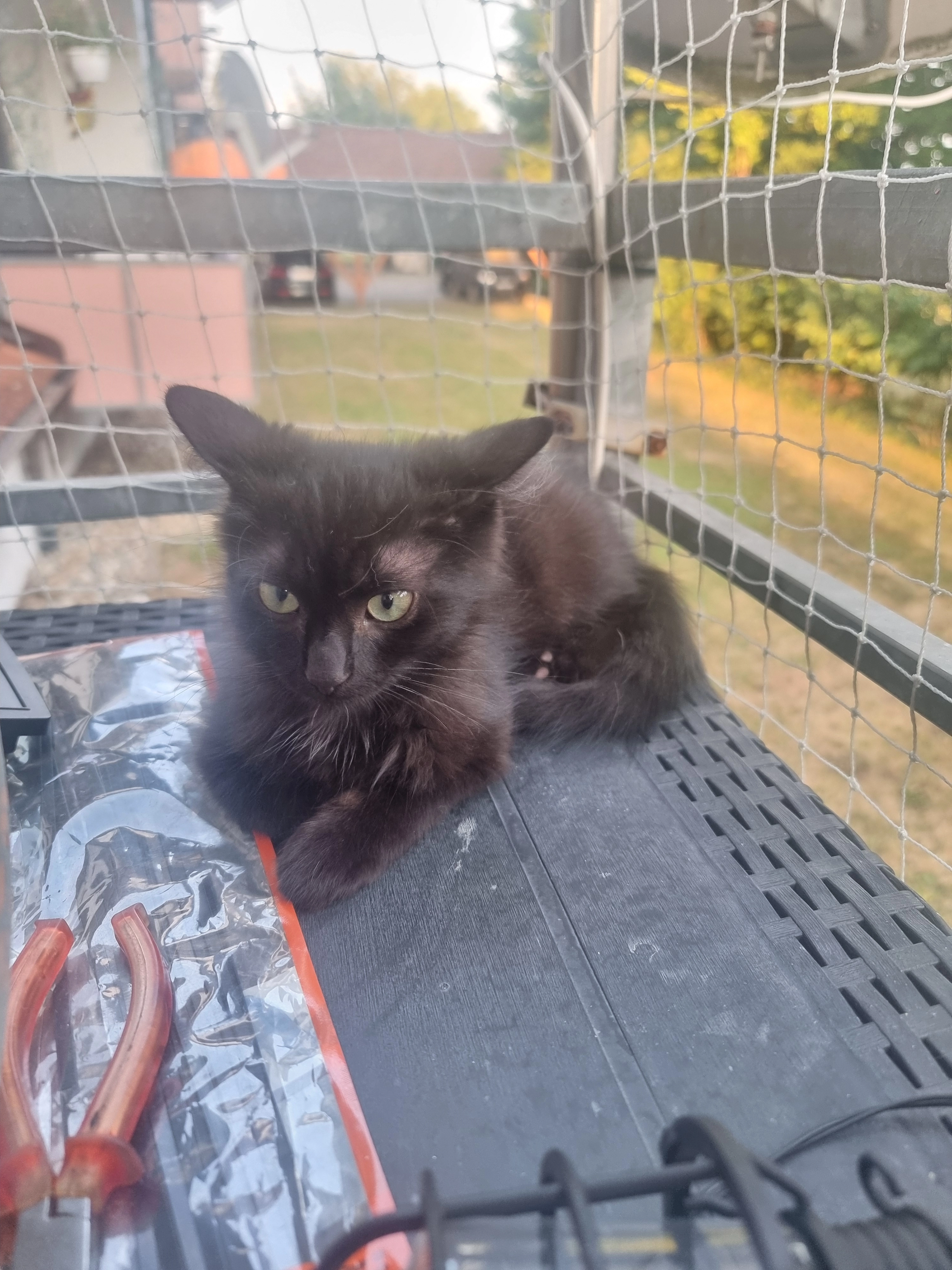 Nacho - Mühlweg, Kehl