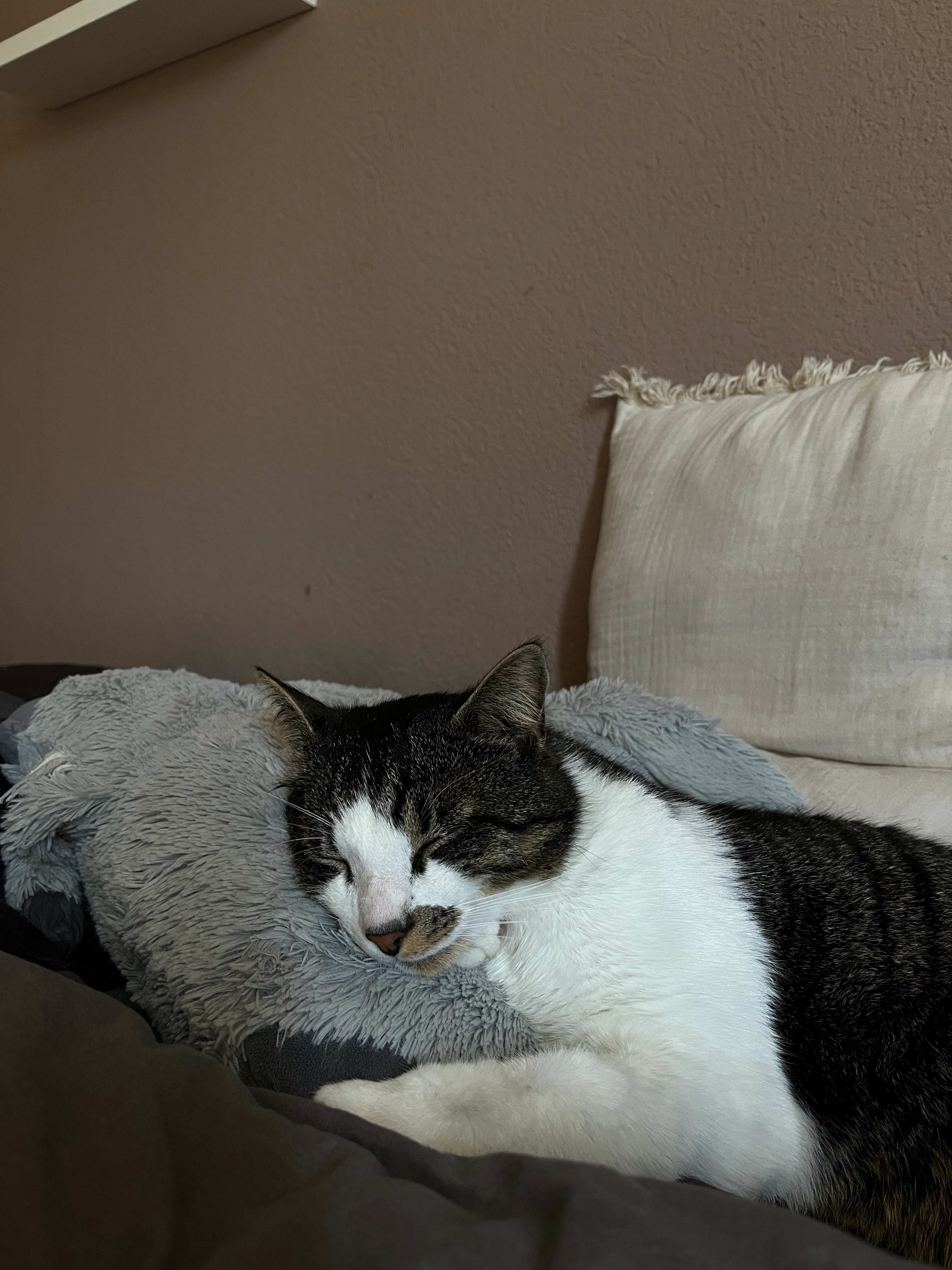 Malibu - Grenzweg 3, Staffelbach