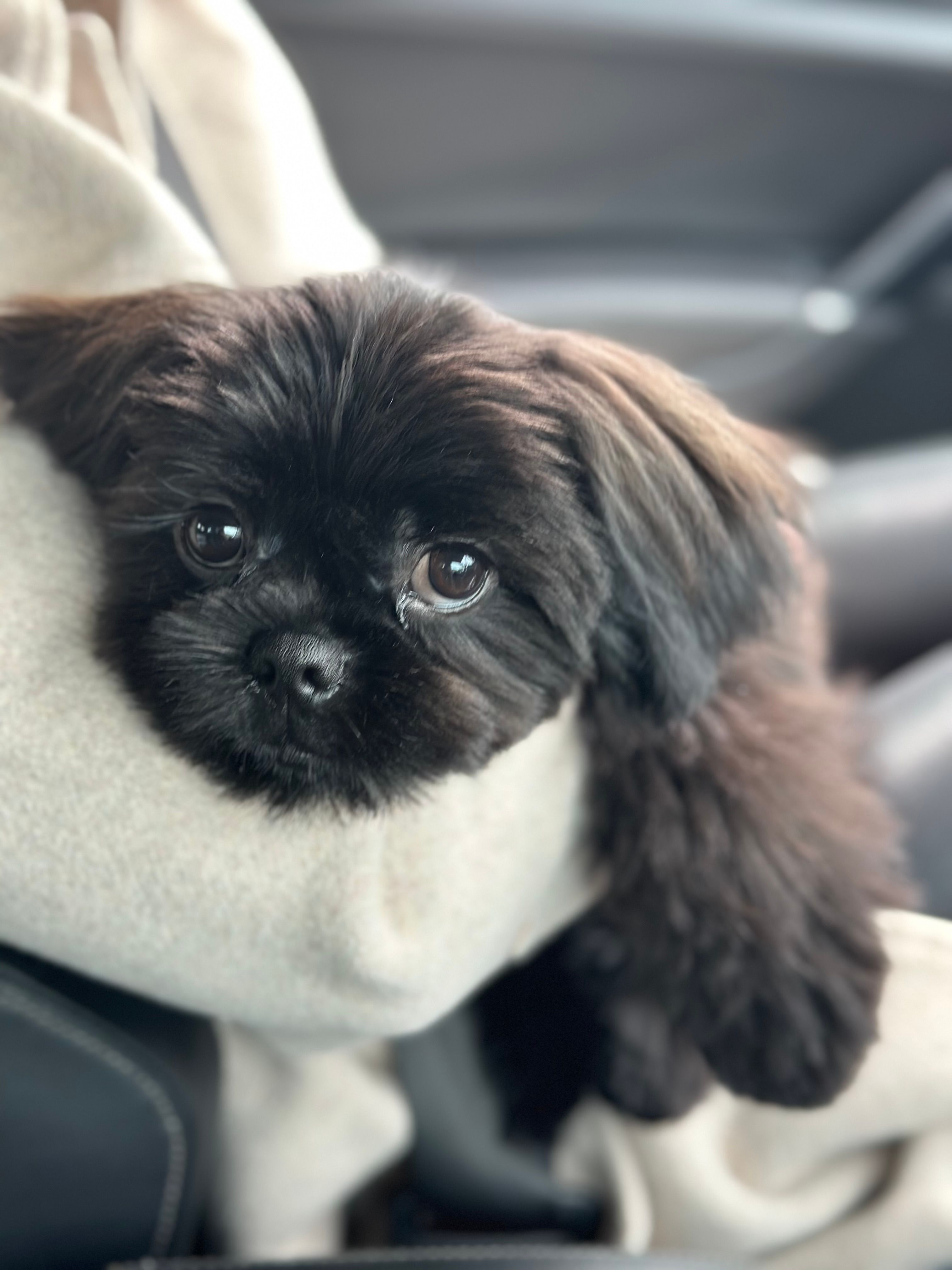 Fendi - RM2 5, Romford