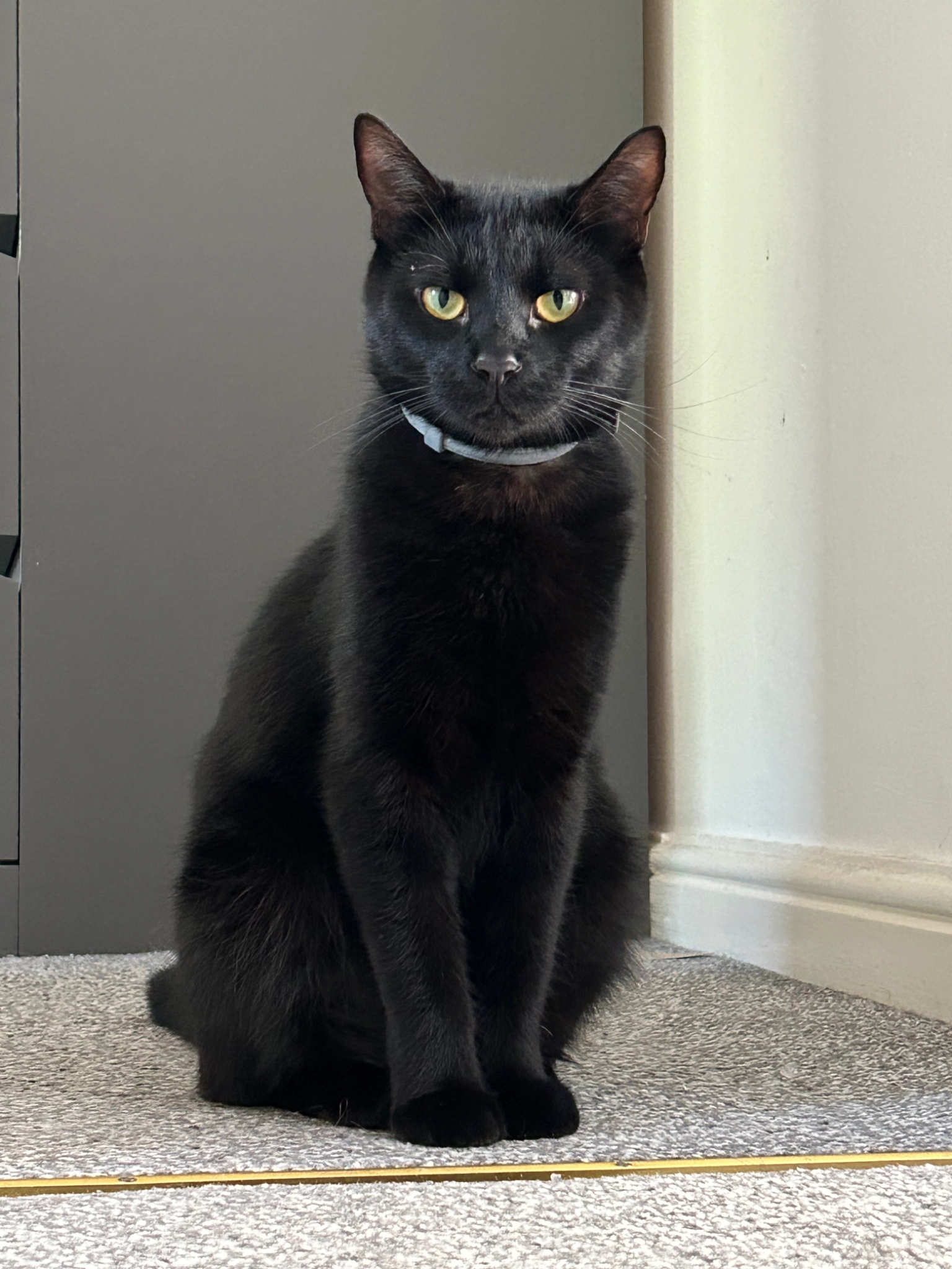 Lufy - Cadbury Road, Bristol