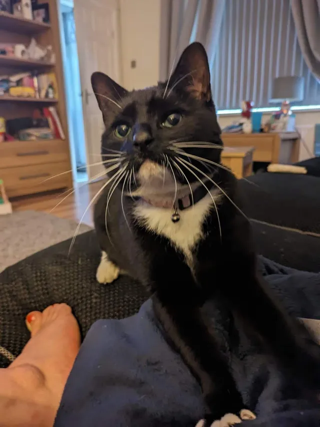 Polly - Hurford Avenue, Ellesmere Port