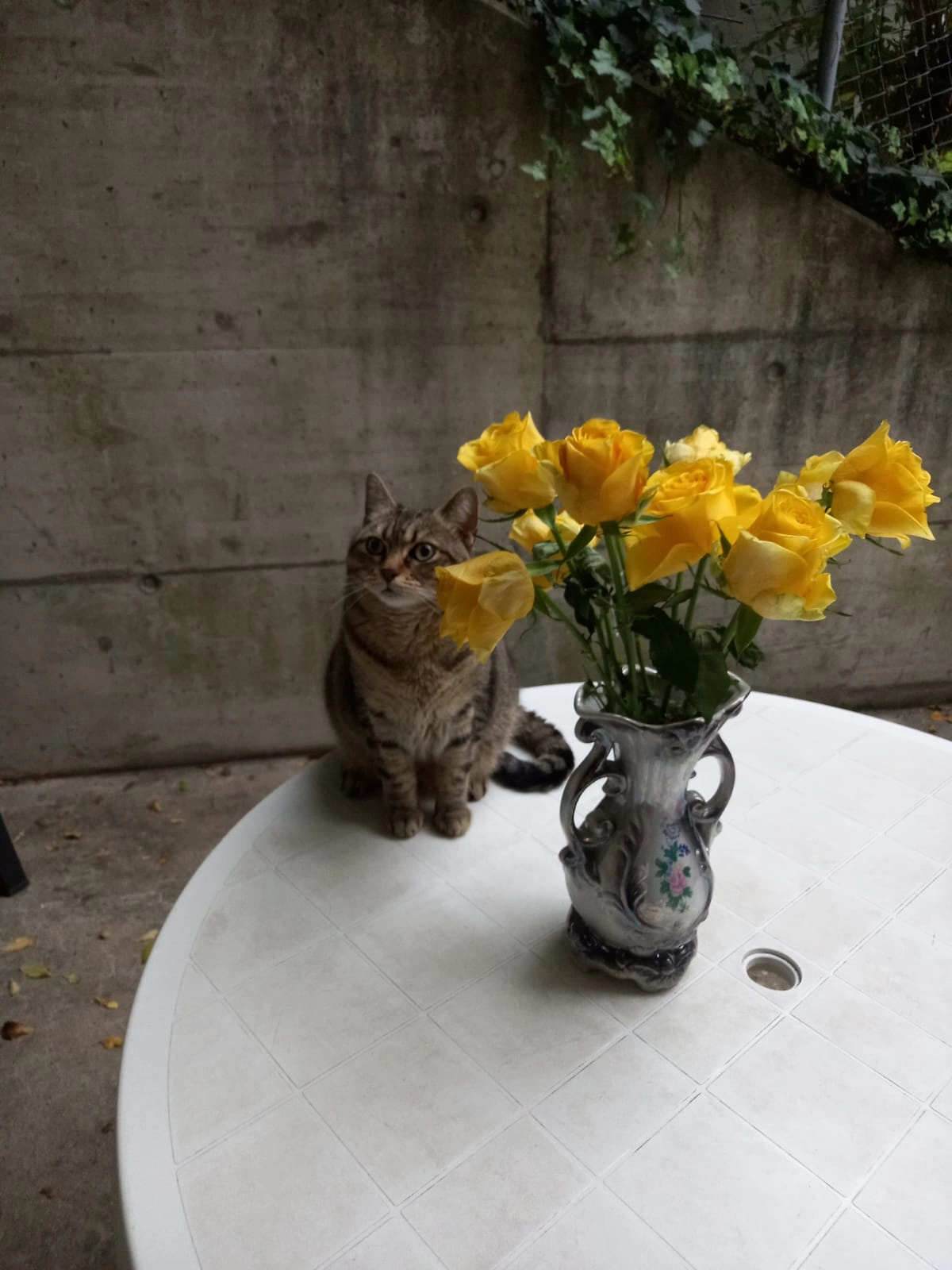 Clochette - Chemin de la Scierie 8, Milvignes