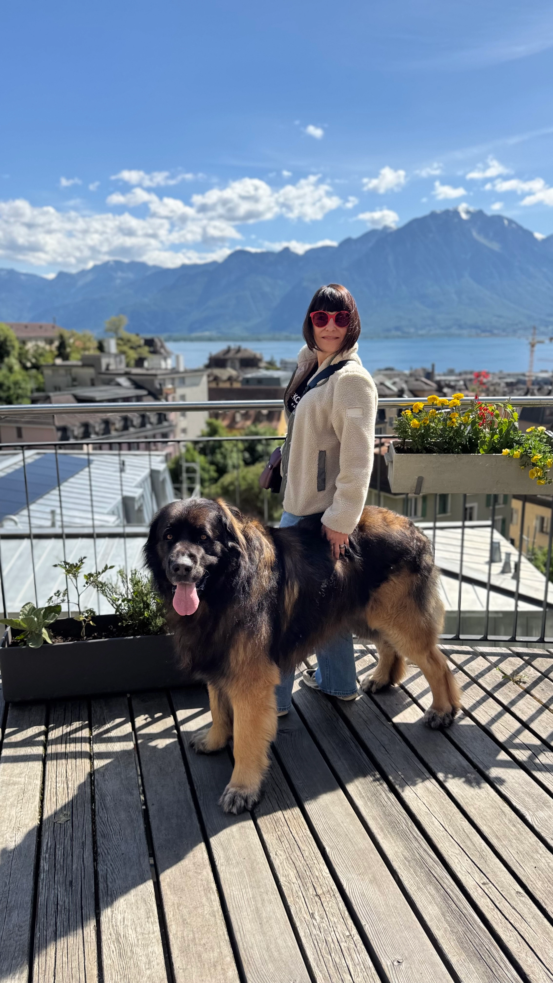 Meteo  - Chemin du Grand-Pré, Luins