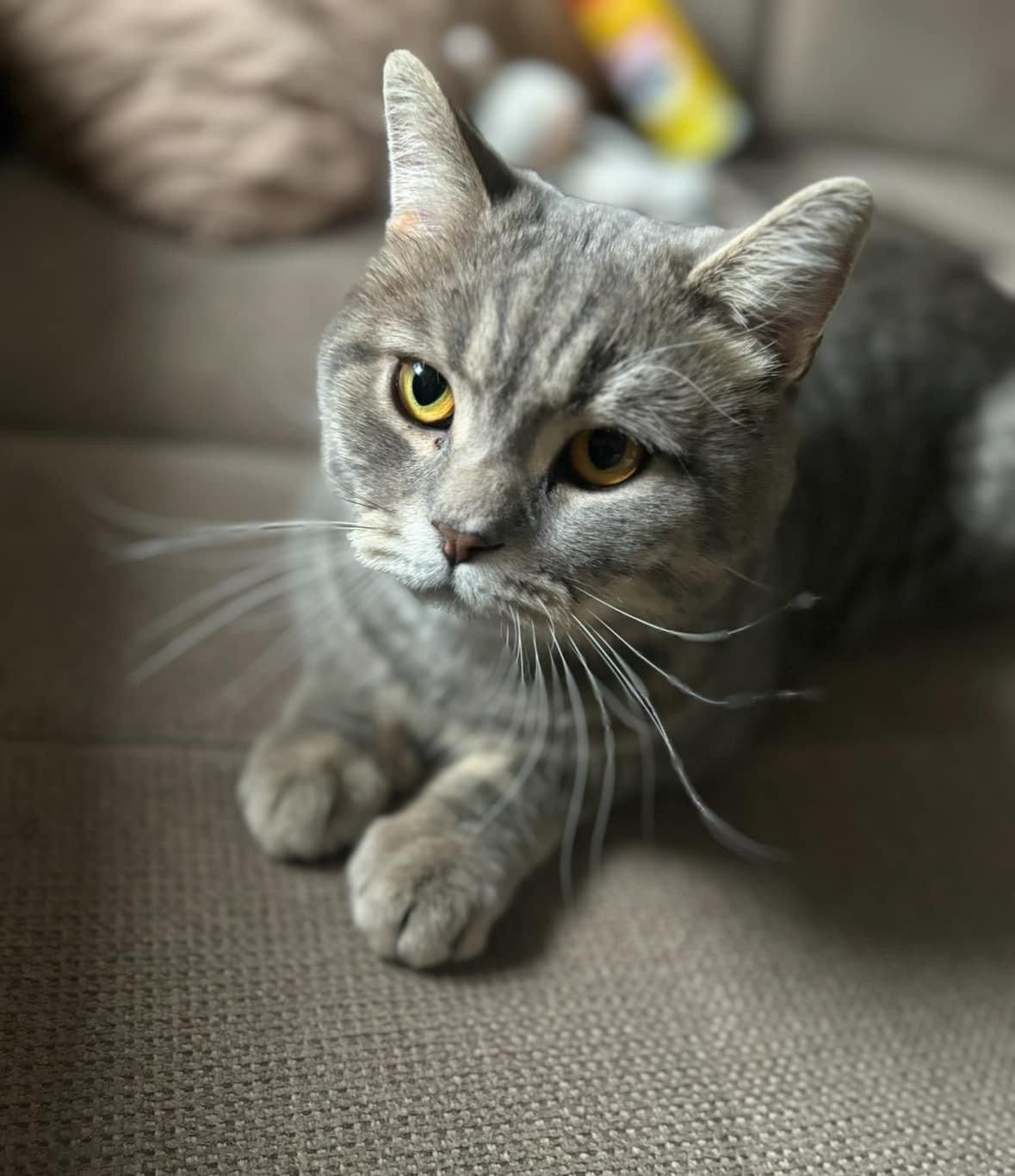 Clyde - Ernst-Thälmann-Straße, Bitterfeld-Wolfen