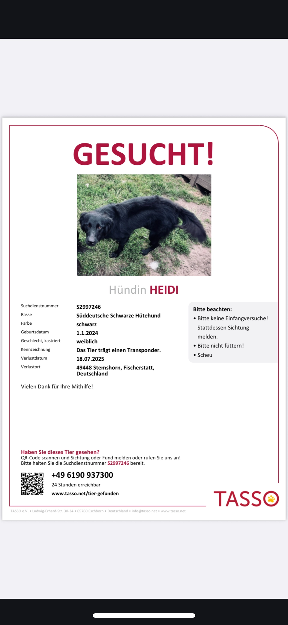 Heidi - Fischerstatt, Stemshorn