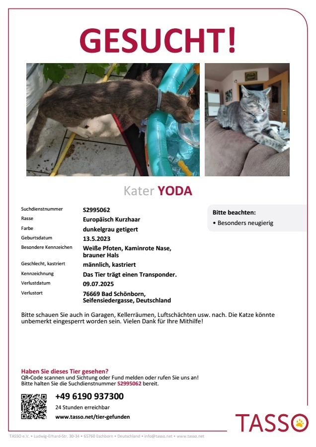 Yoda - Seifensiedergasse, Bad Schönborn