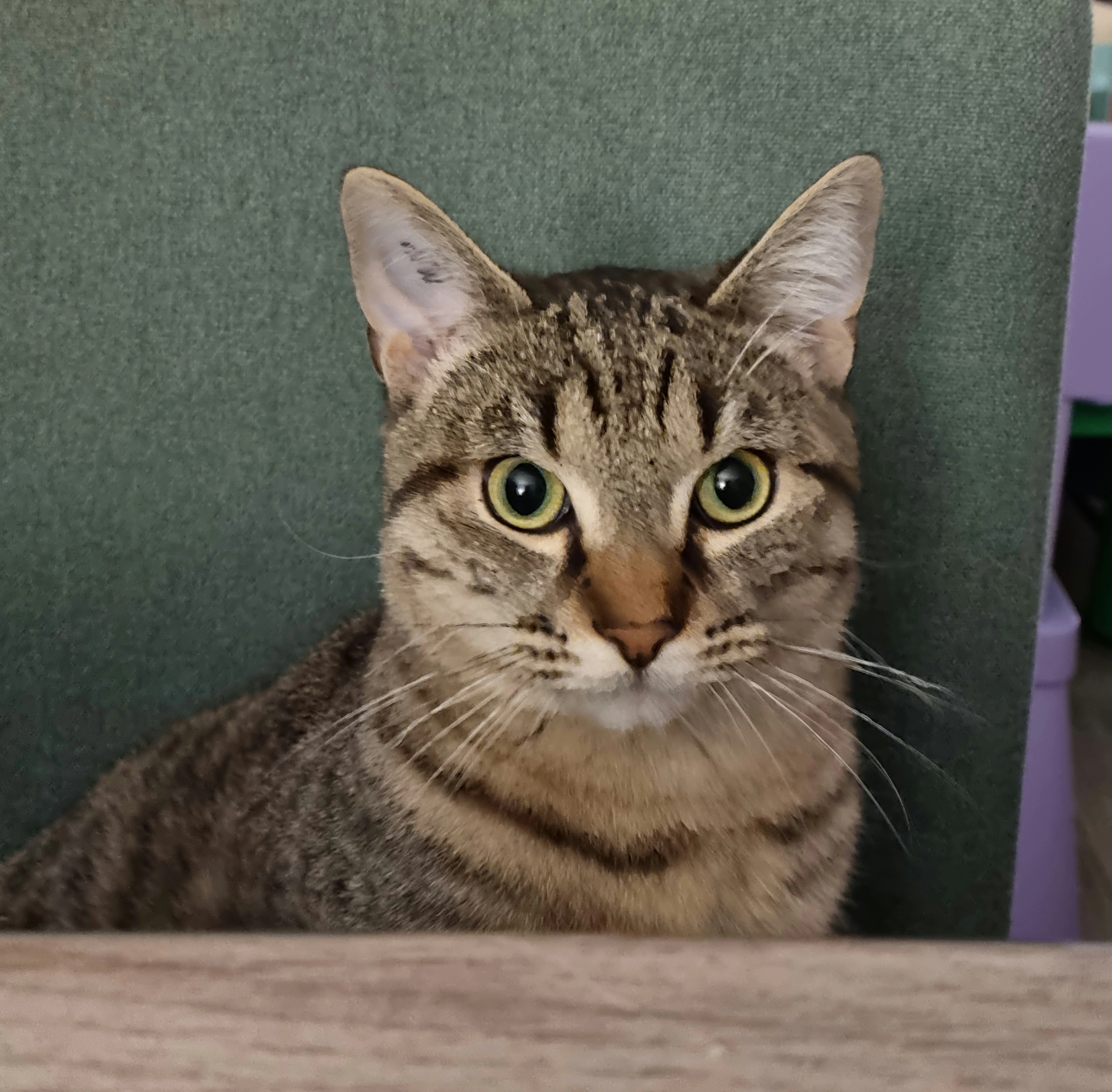 Pixel - Impasse Du Château, Corquilleroy