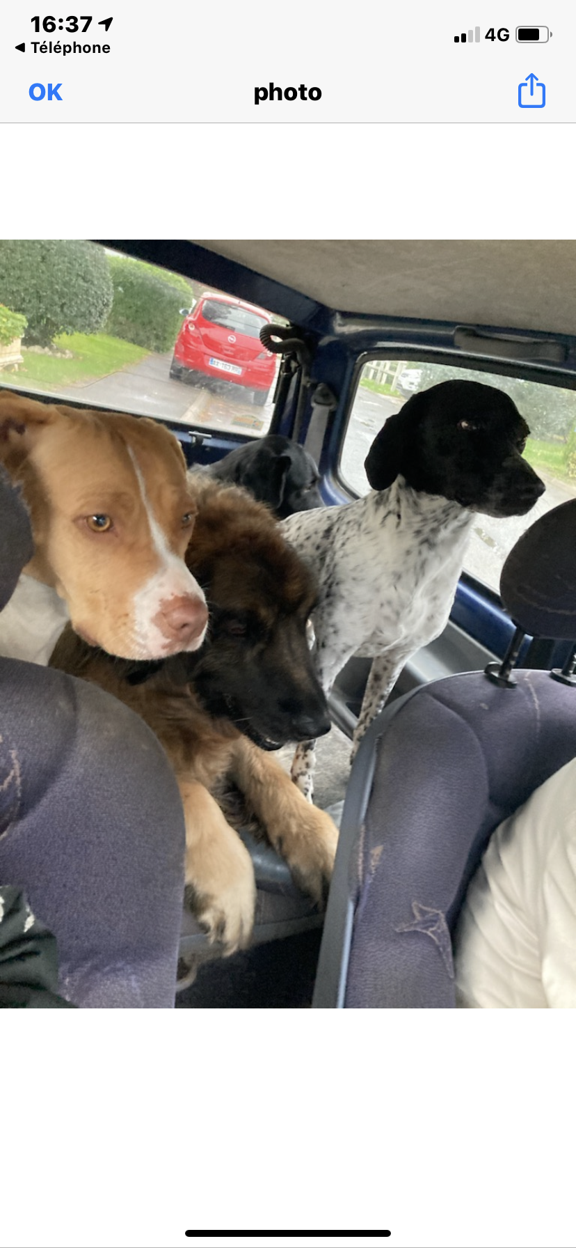 Ouf   - Avenue Du Manège, Ozoir-la-Ferrière