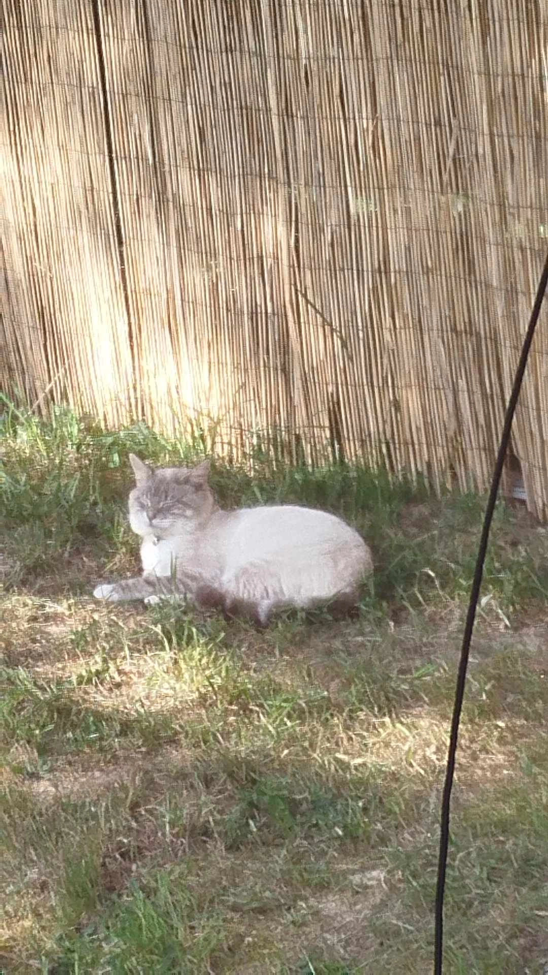 Tokyo  - 1 Lotissement de Coat-Huella, Le Tréhou