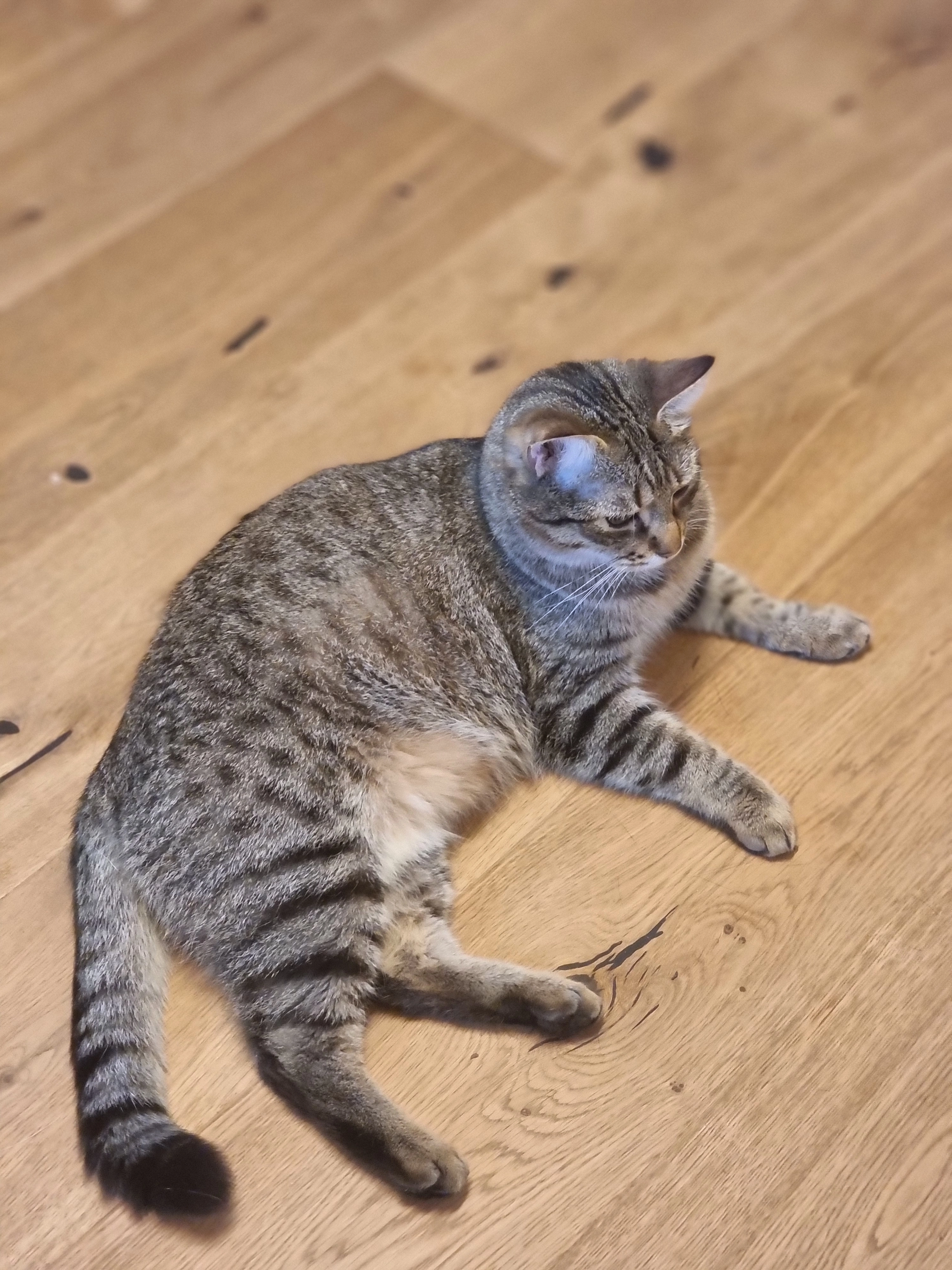 Luigi - Franz-Liszt-Gasse 4, Leibnitz