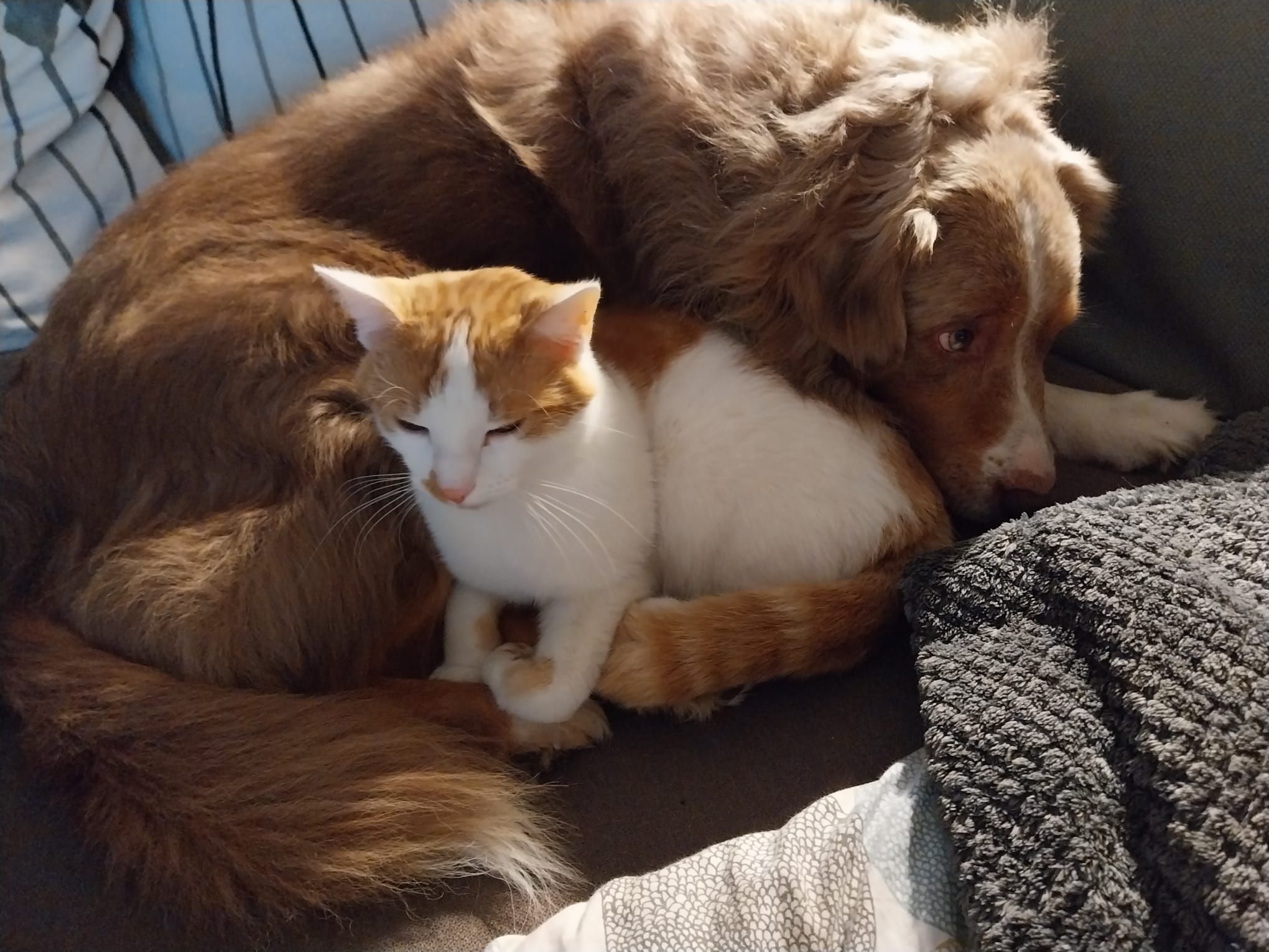 Sami - Winzerstraße, Amberg