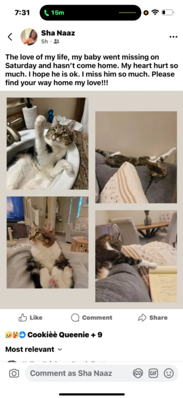 Cuddles - Walnut Blvd, Walnut Creek