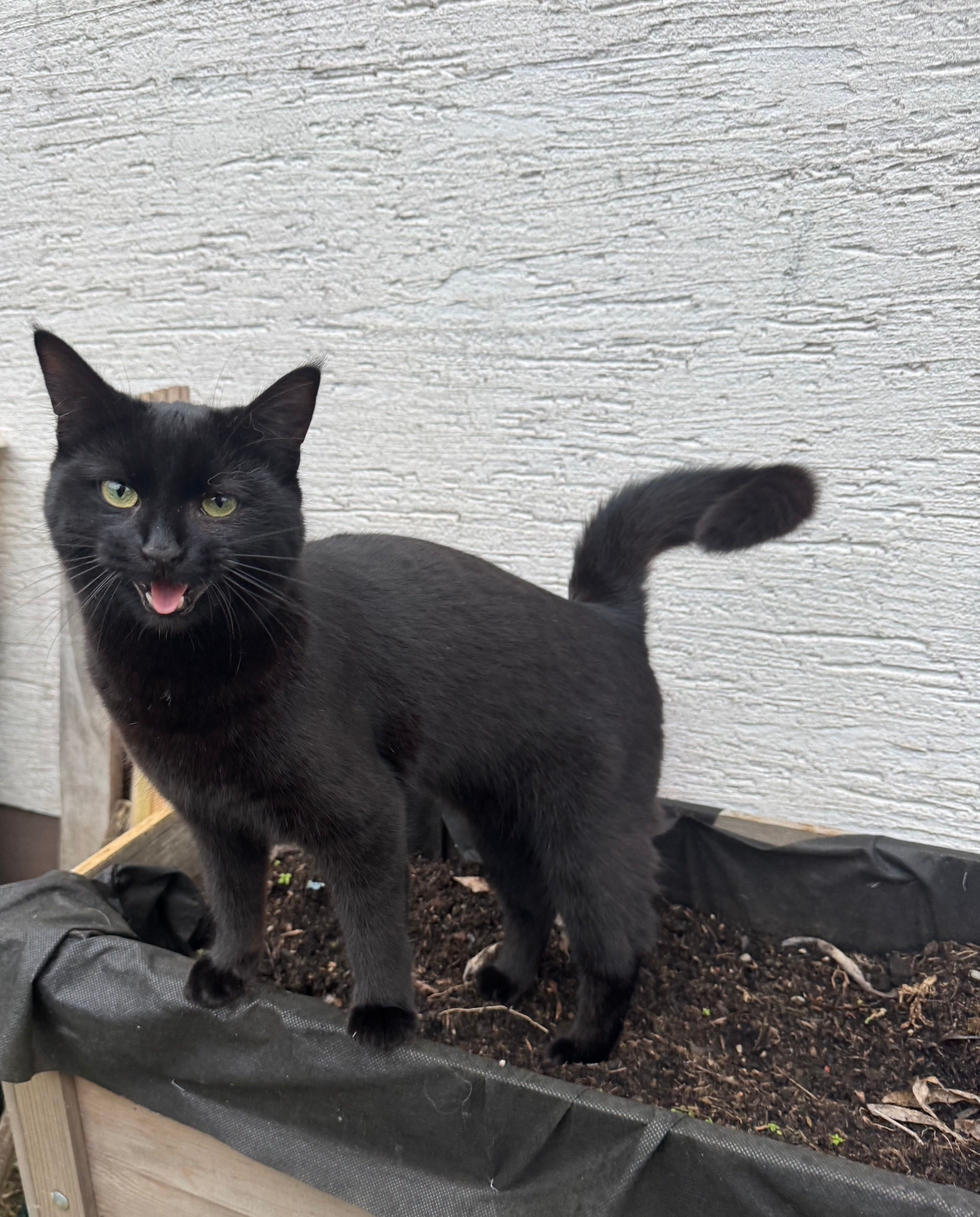 Elba - Försterweg, Wetter