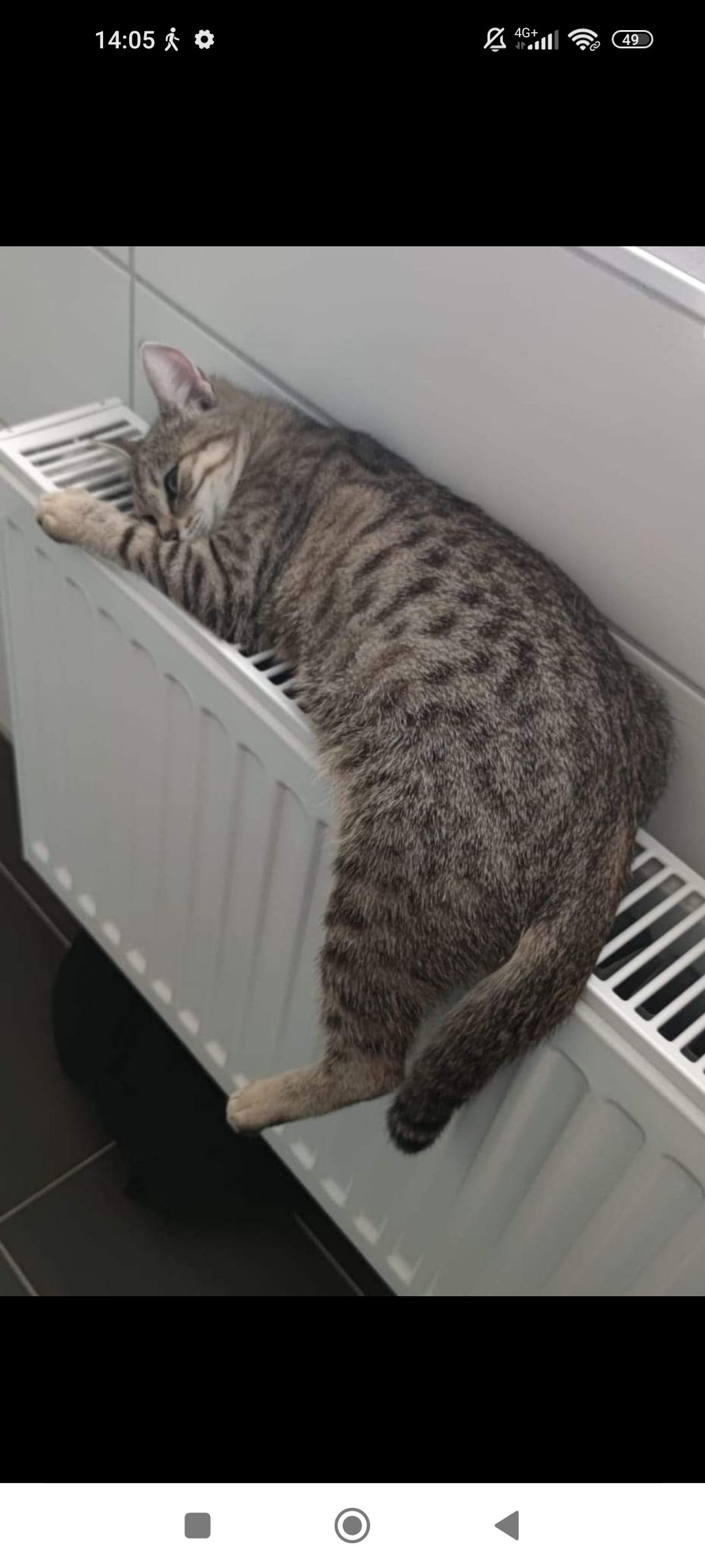 Maja - Dackhorstweg, Neuenhaus