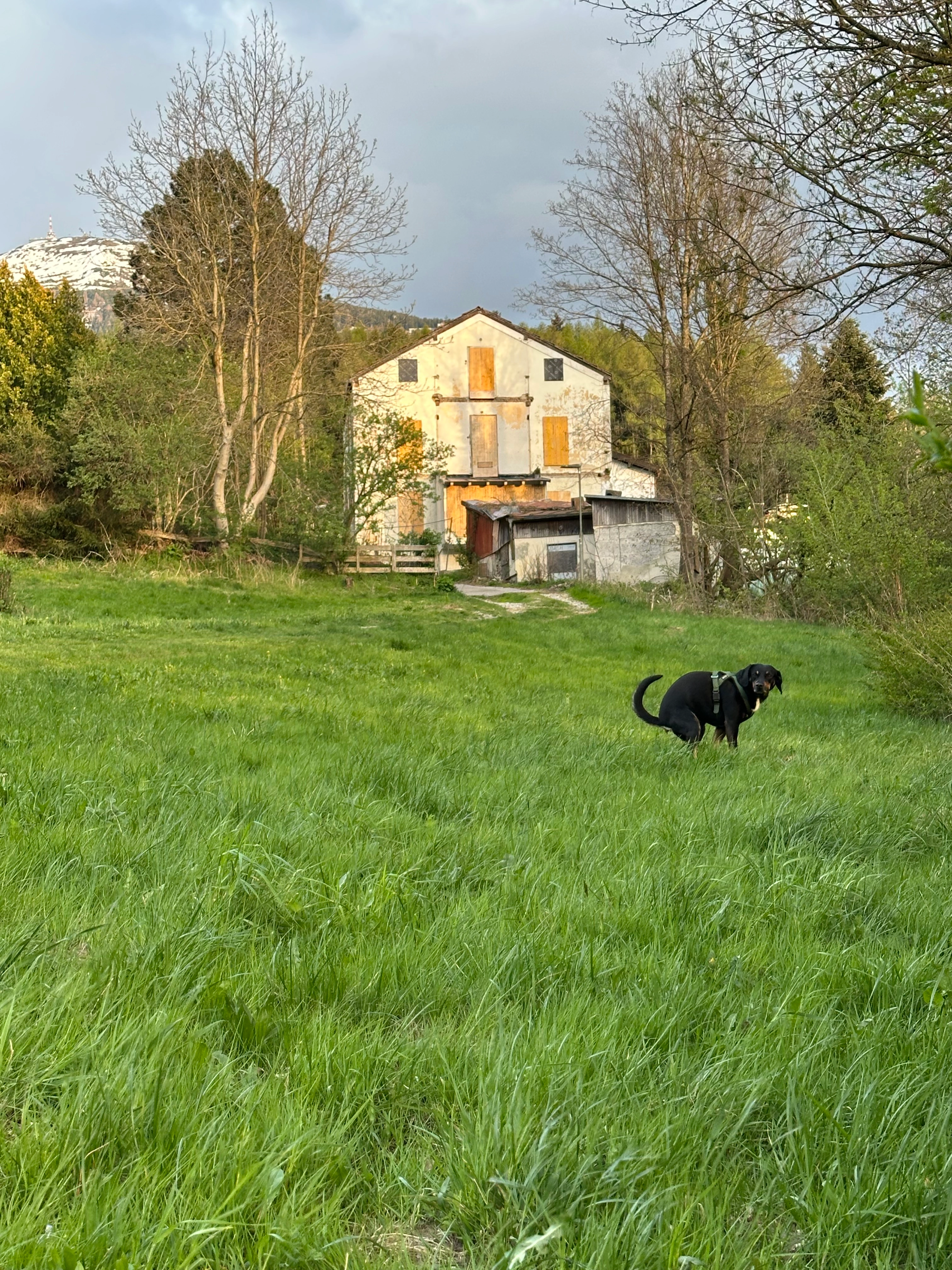 Ludwig  - Lanser Straße, Innsbruck