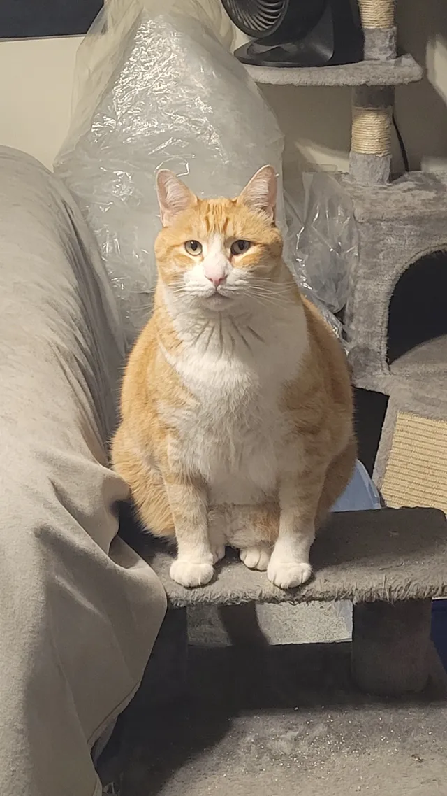 Milo - 5061 Leisure Ln, Salt Lake City