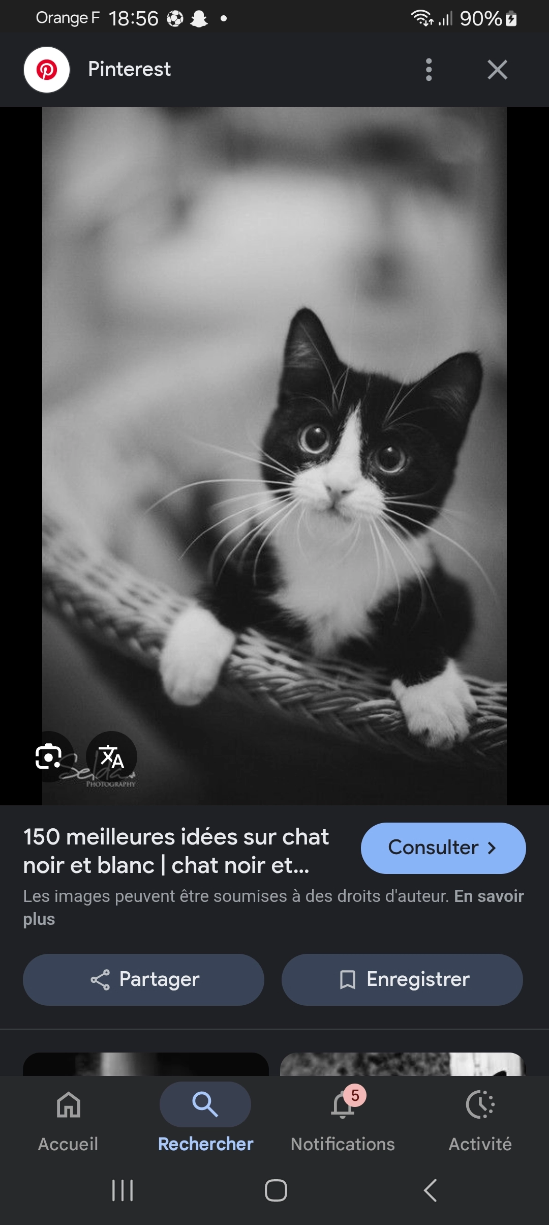 Dikg  - 57 Rue de Courbiac, Saintes