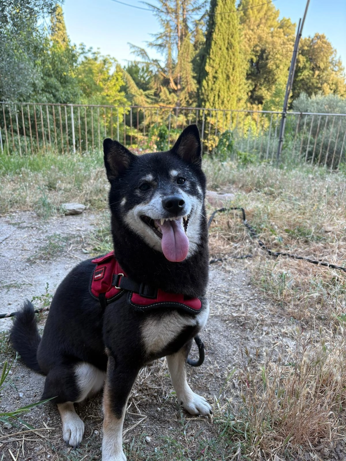 Captain  - La Riole, Contes