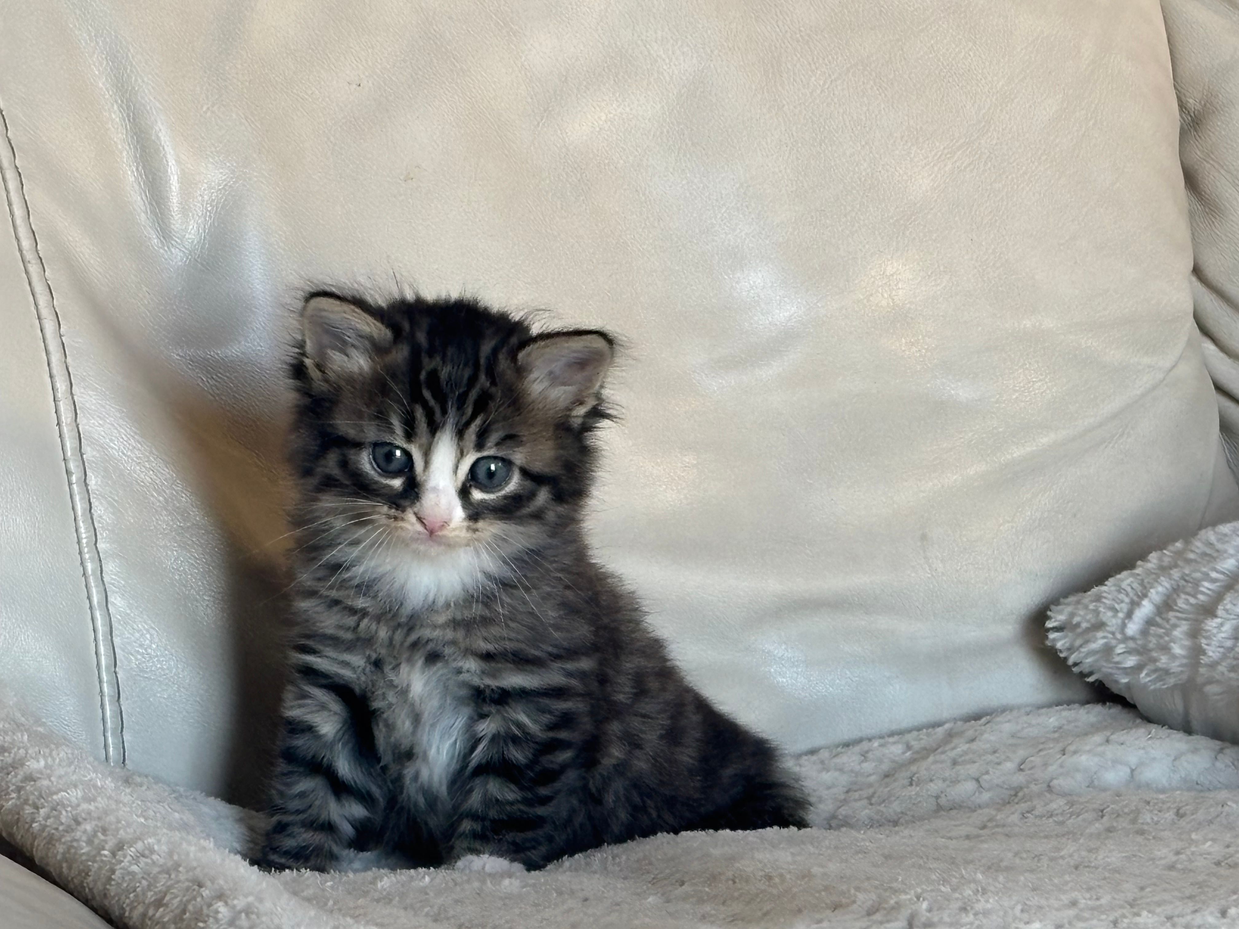 Artie - 1 Allée Hyde de Neuville, Bulcy