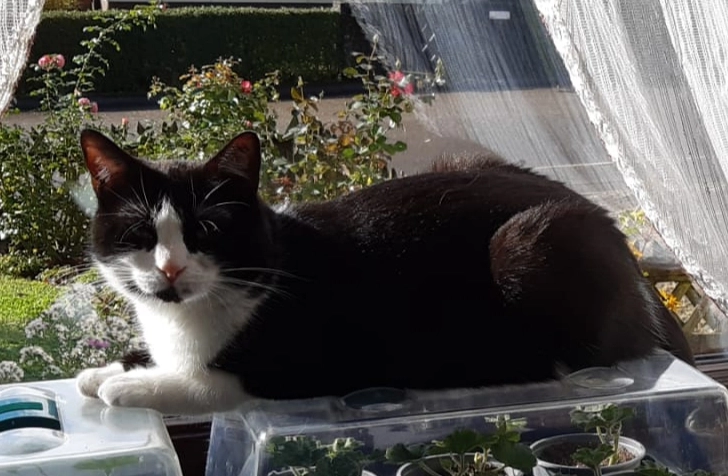 Bella - Teckstraße, Gäufelden