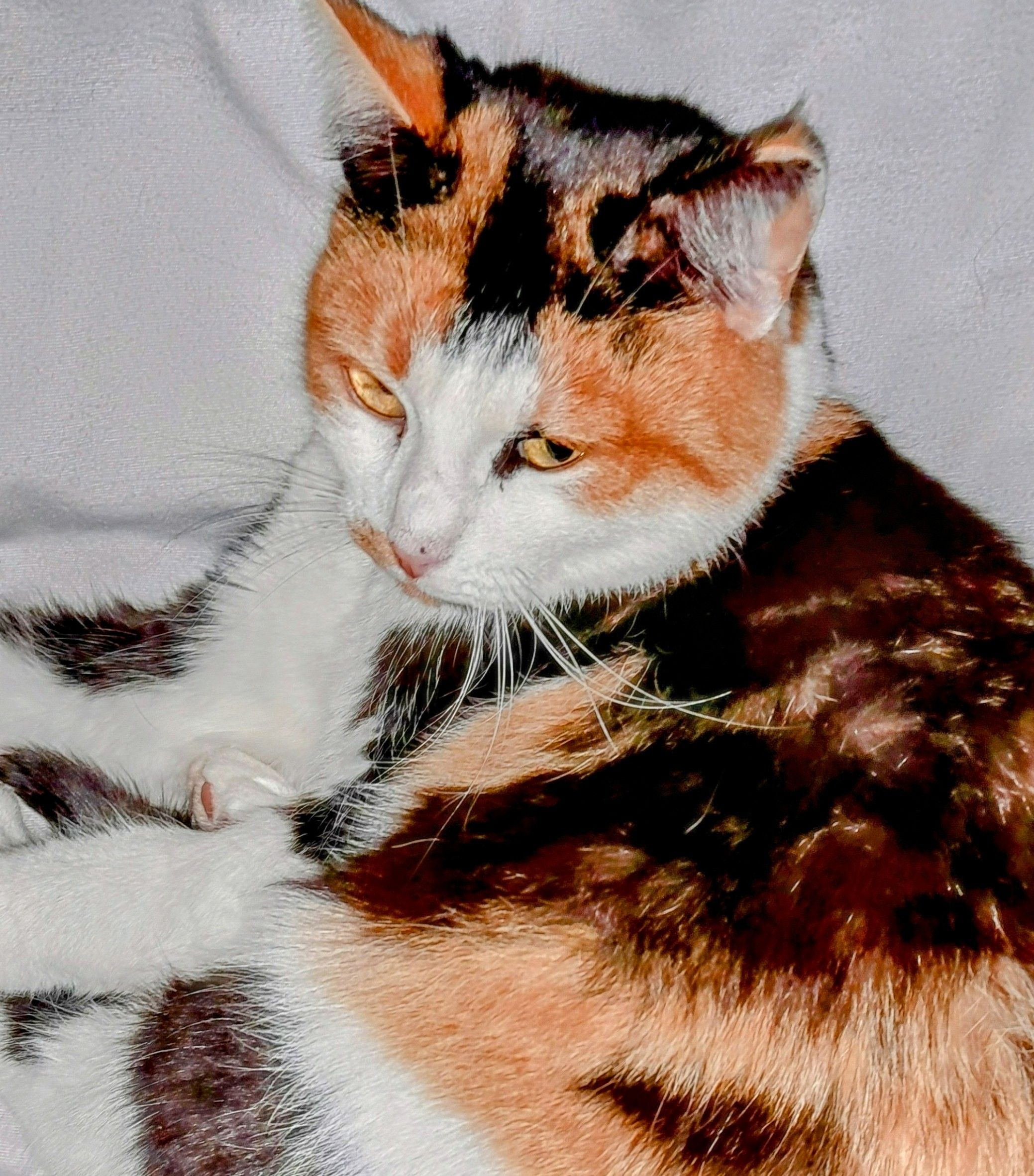 Daisy - Auf Dem Glockenberg, Clausthal-Zellerfeld