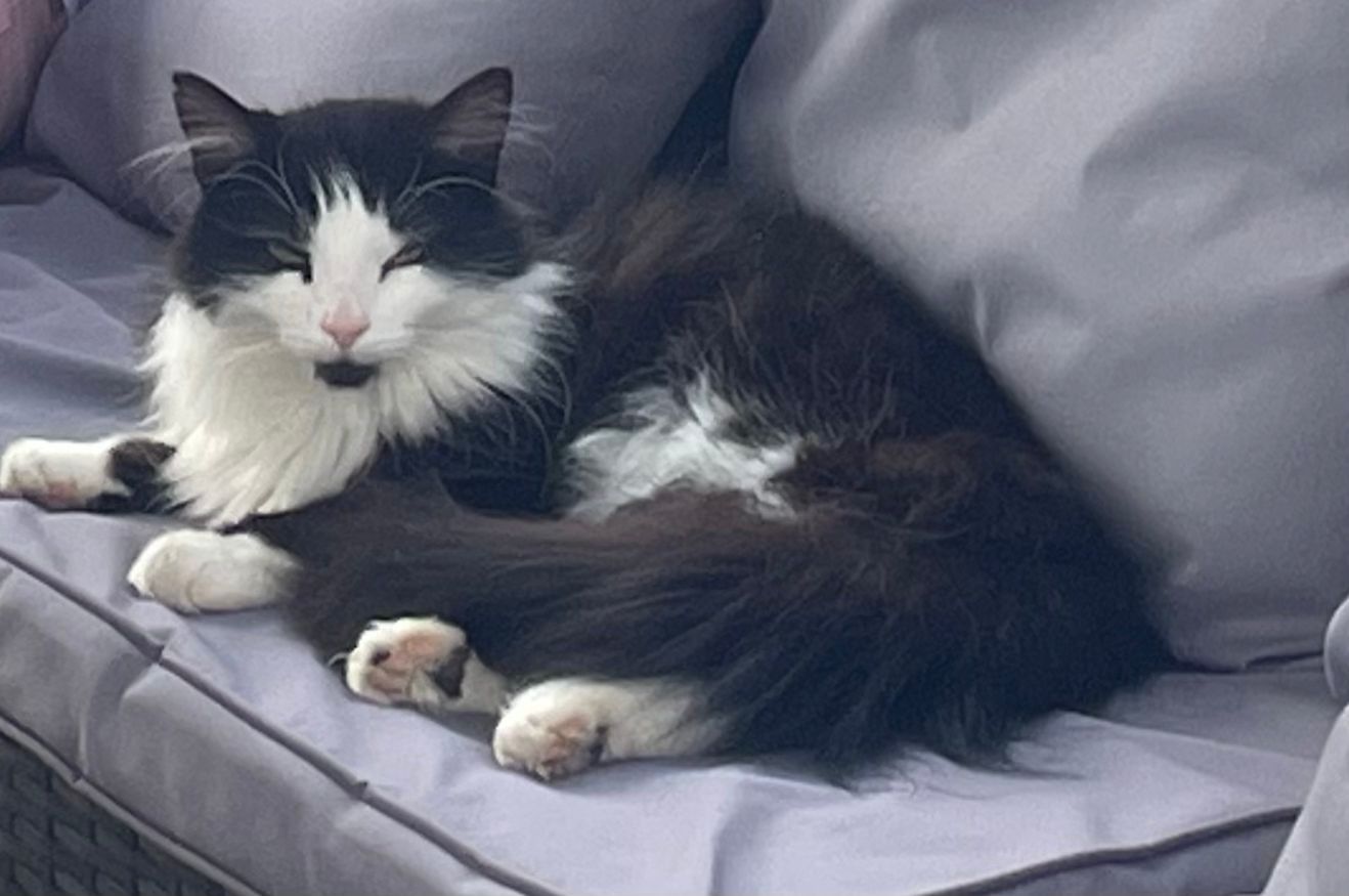 Juicy - 14 Oakleigh, Navan