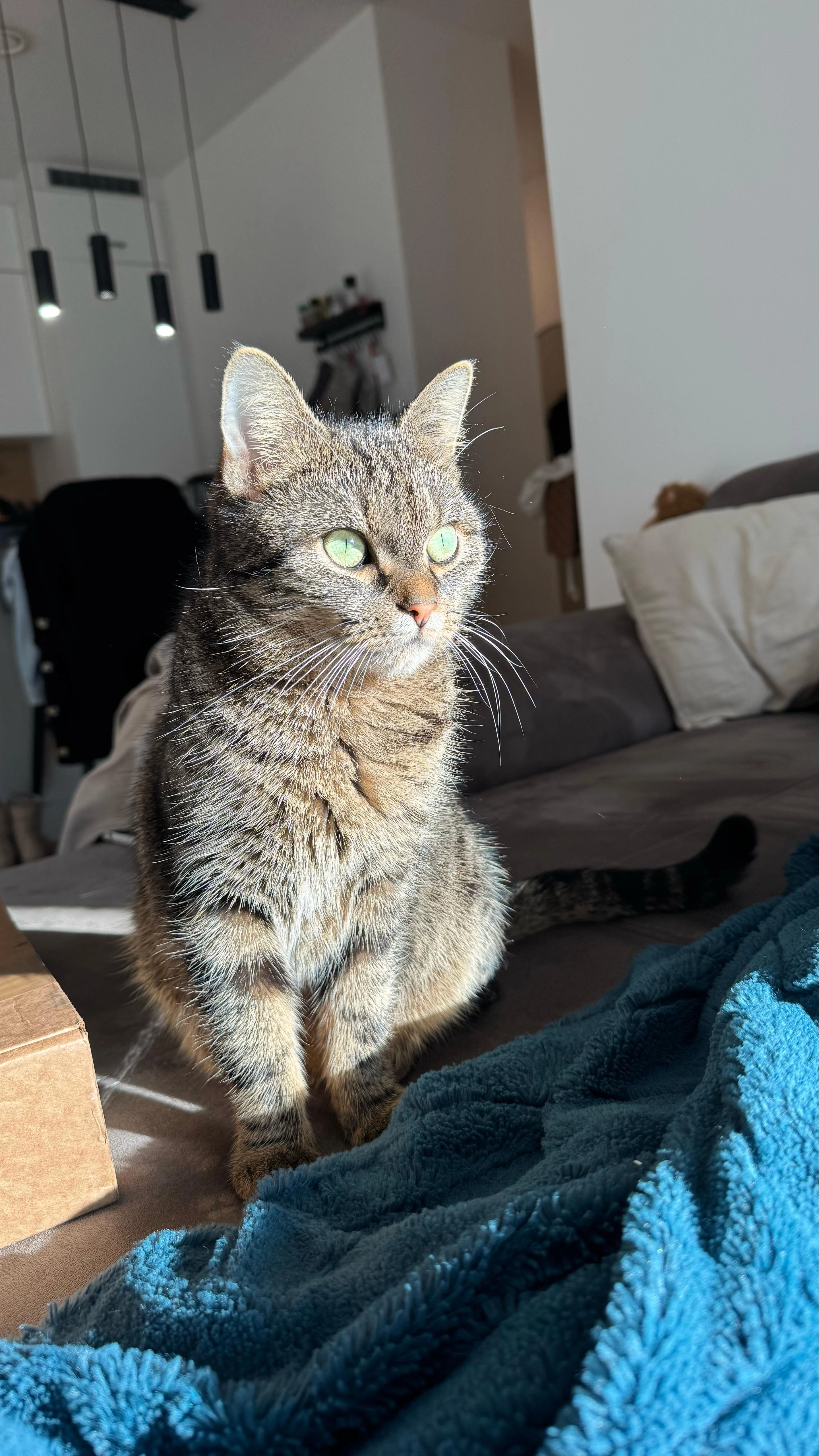 Mochi - Lerchenweg 17, Altenberg bei Linz