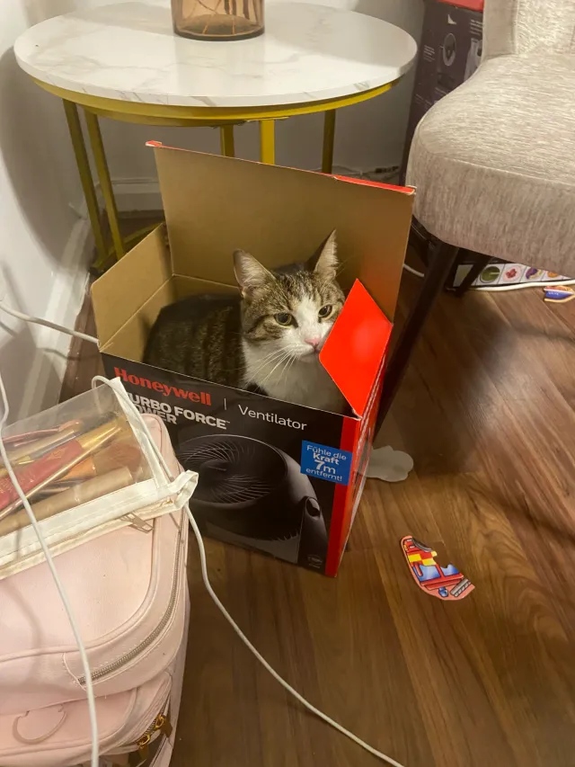 Milo - Blunts Avenue, West Drayton