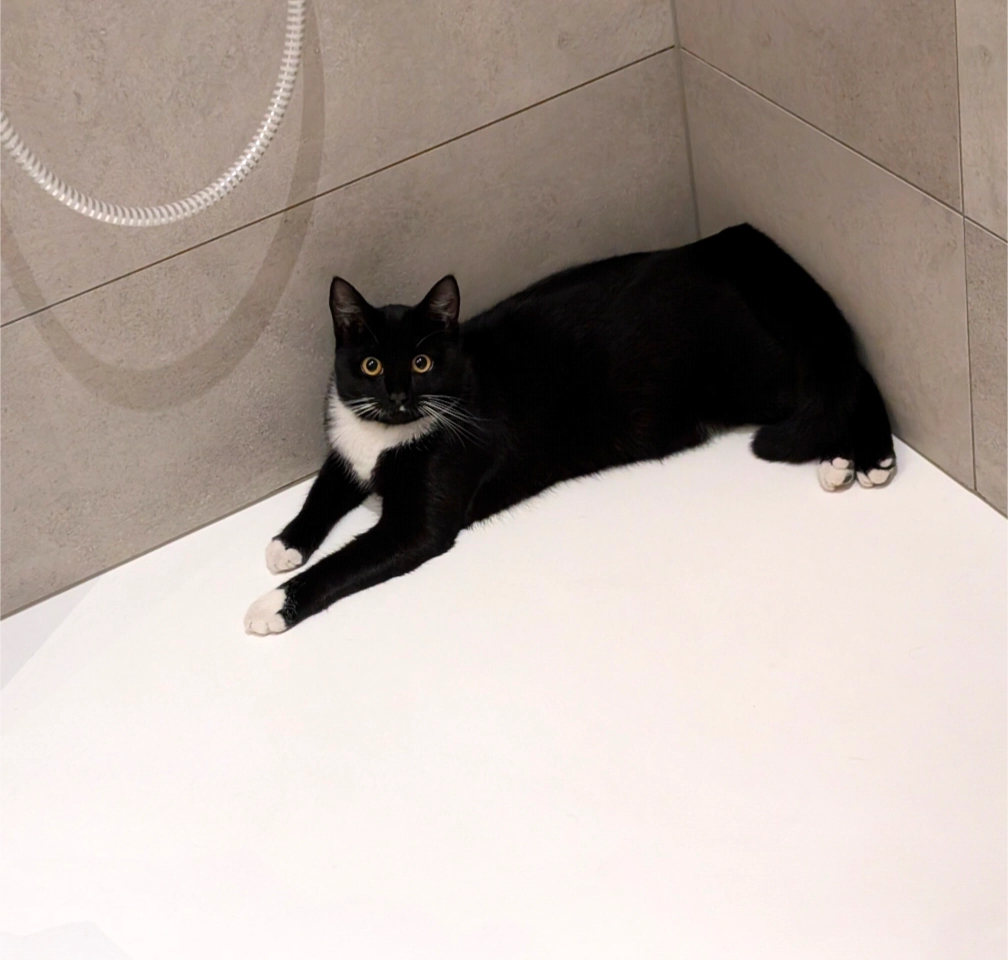 Palox  - Grand Route, Verlaine