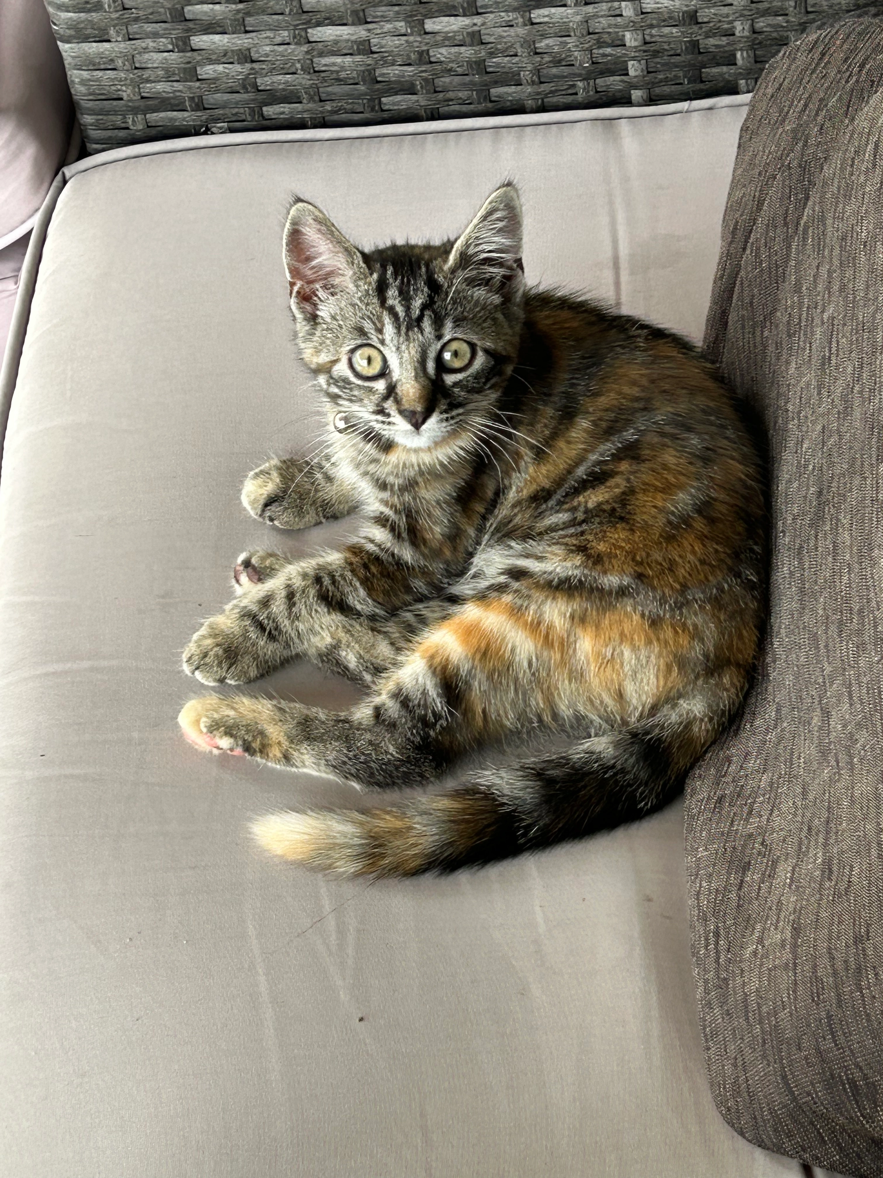 Minush - Rainlihöhe, Horw