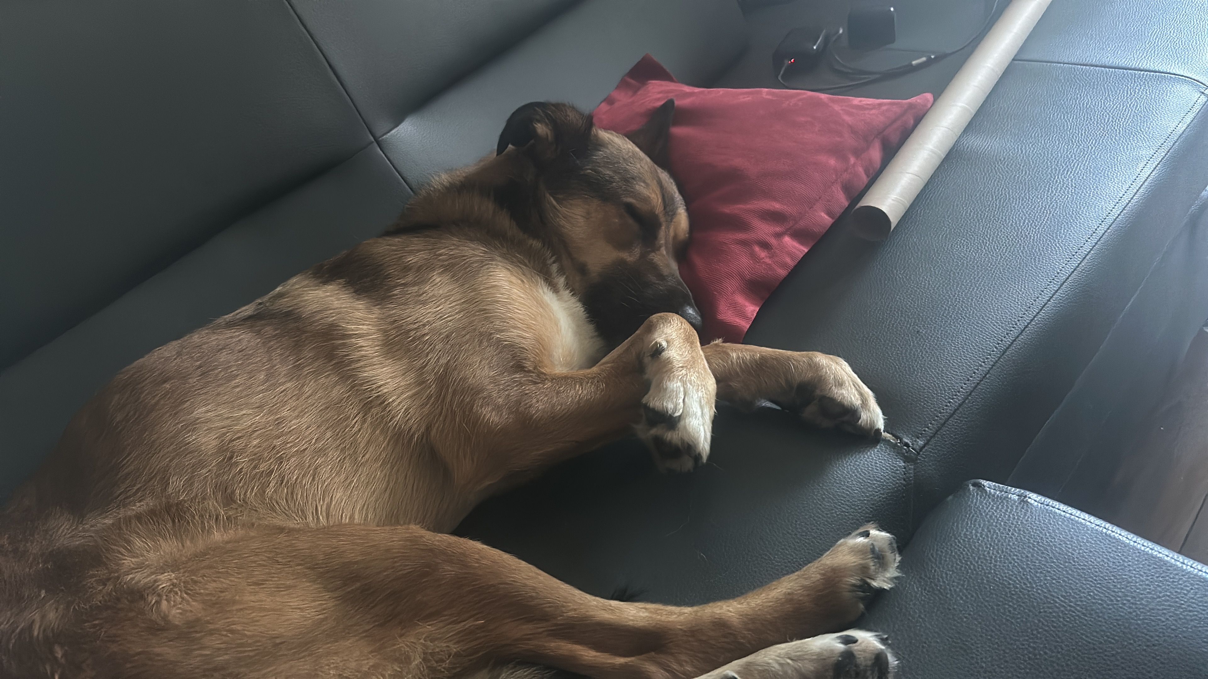 Eclaire - Im Nist, Dinslaken