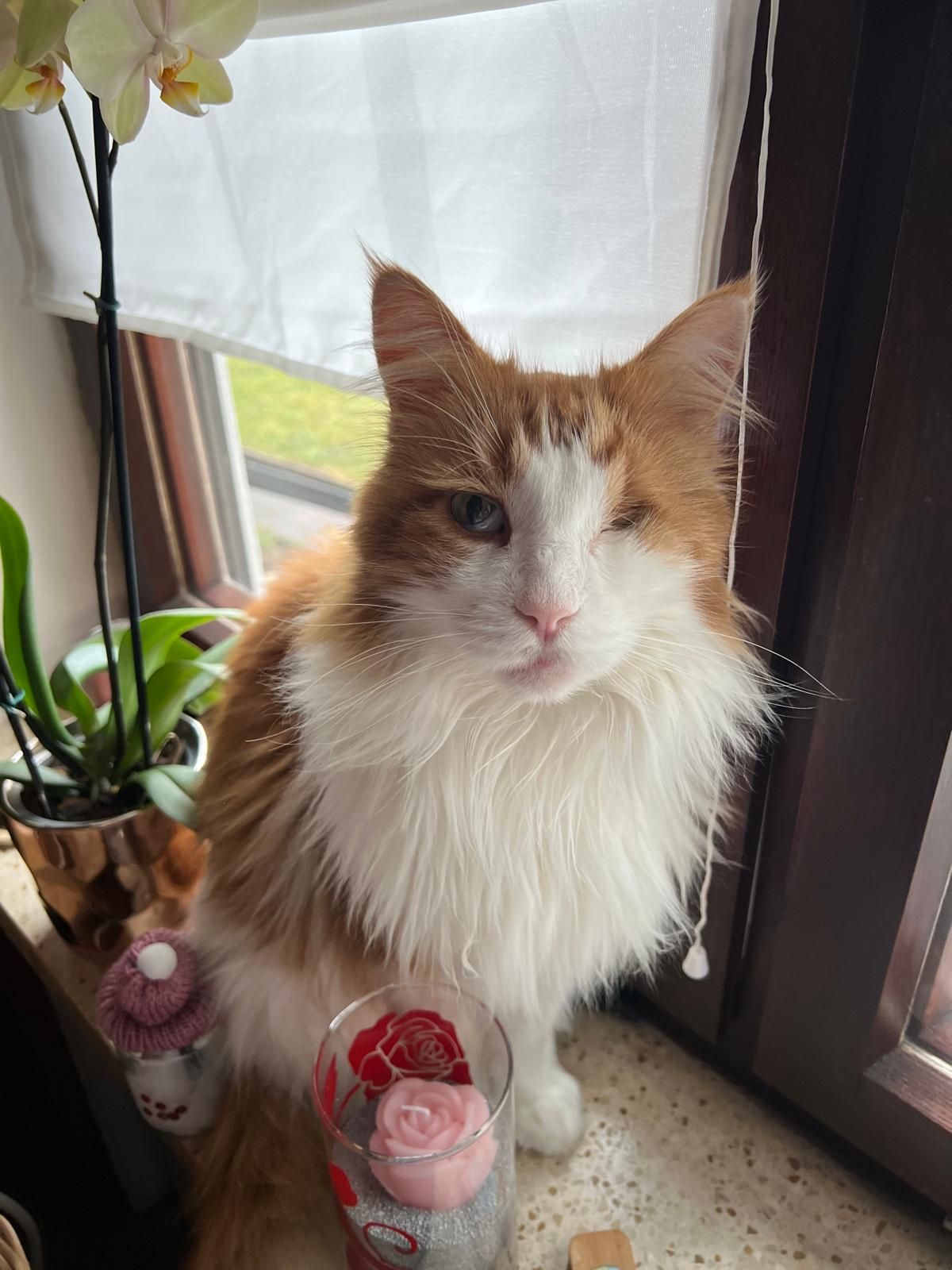 Cosmo - Manchinger Straße, Manching