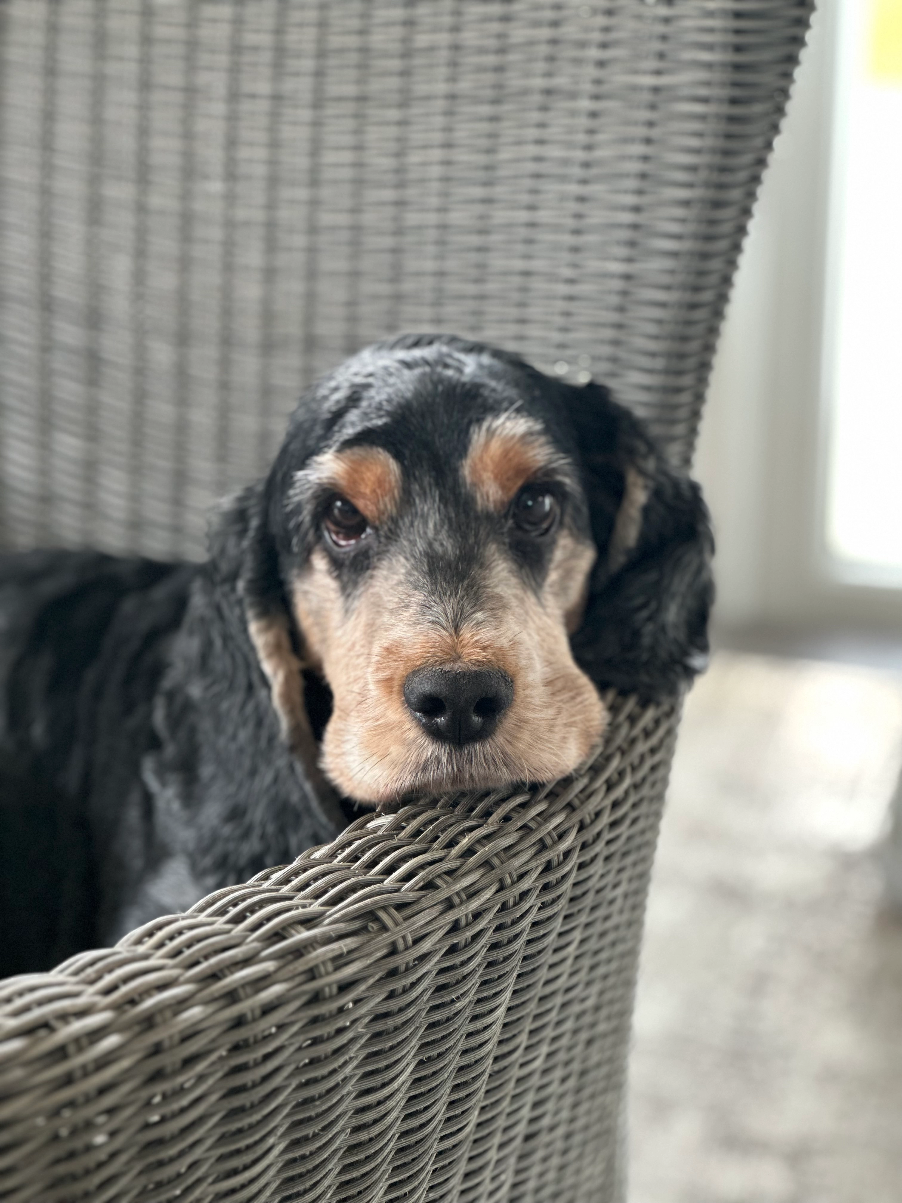 Max - CO10 0, Sudbury