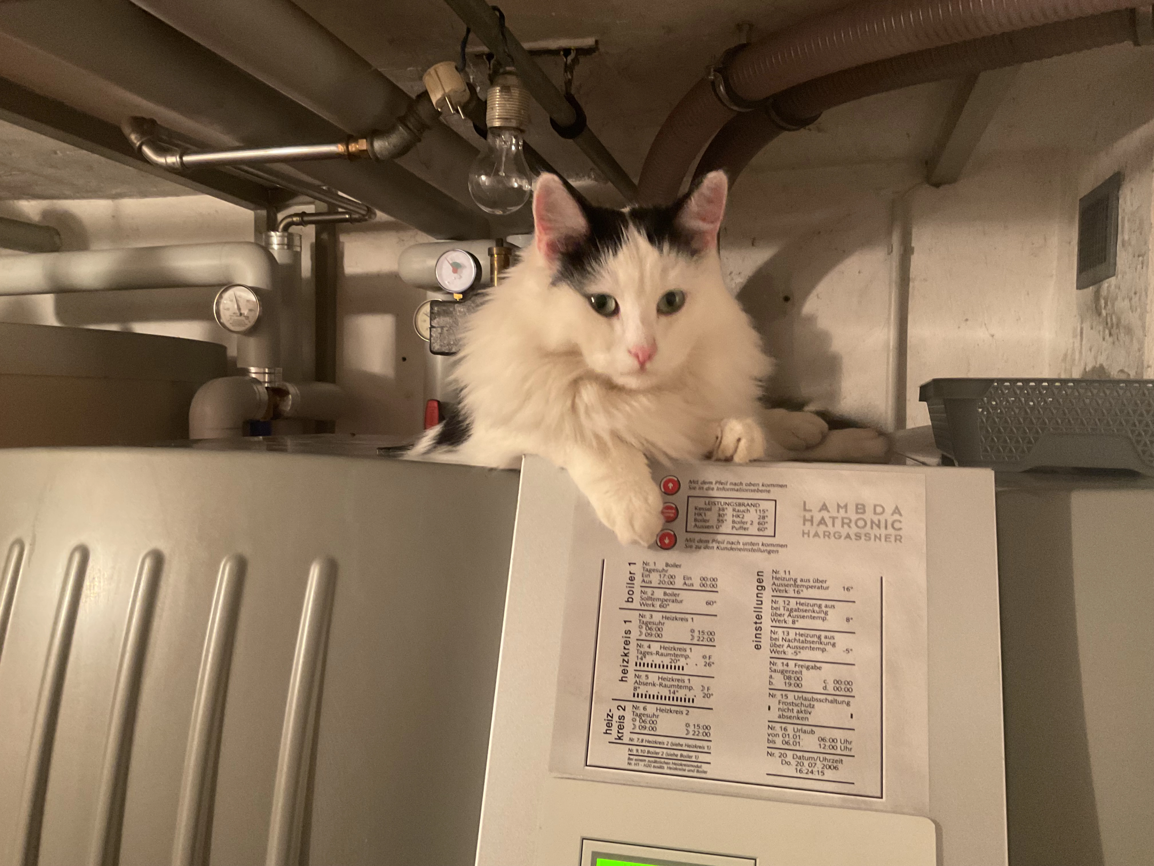 Fritzi - Ravensburger Straße, Tettnang