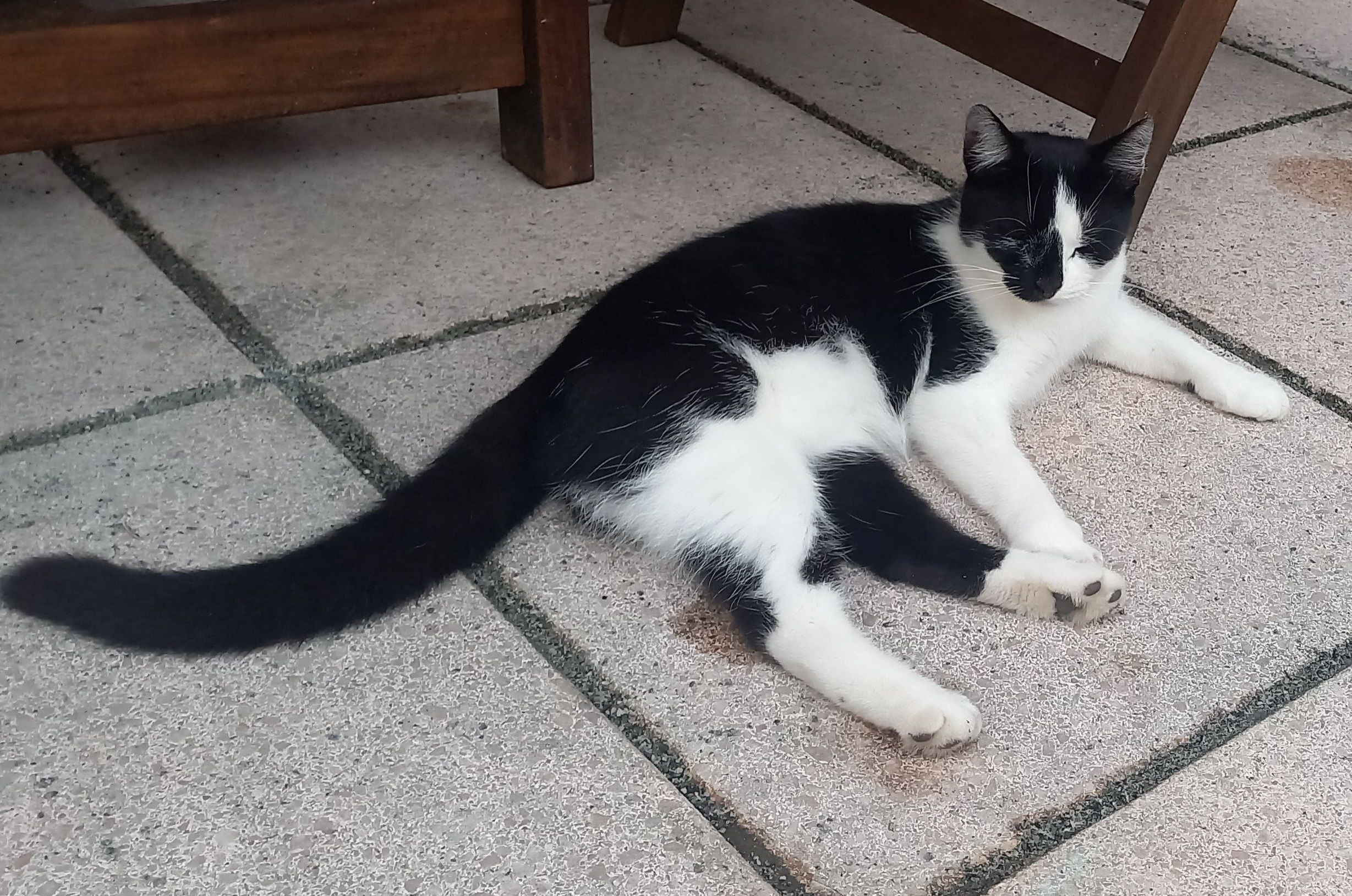 Pebbles - Am Bolzplatz, Papendorf